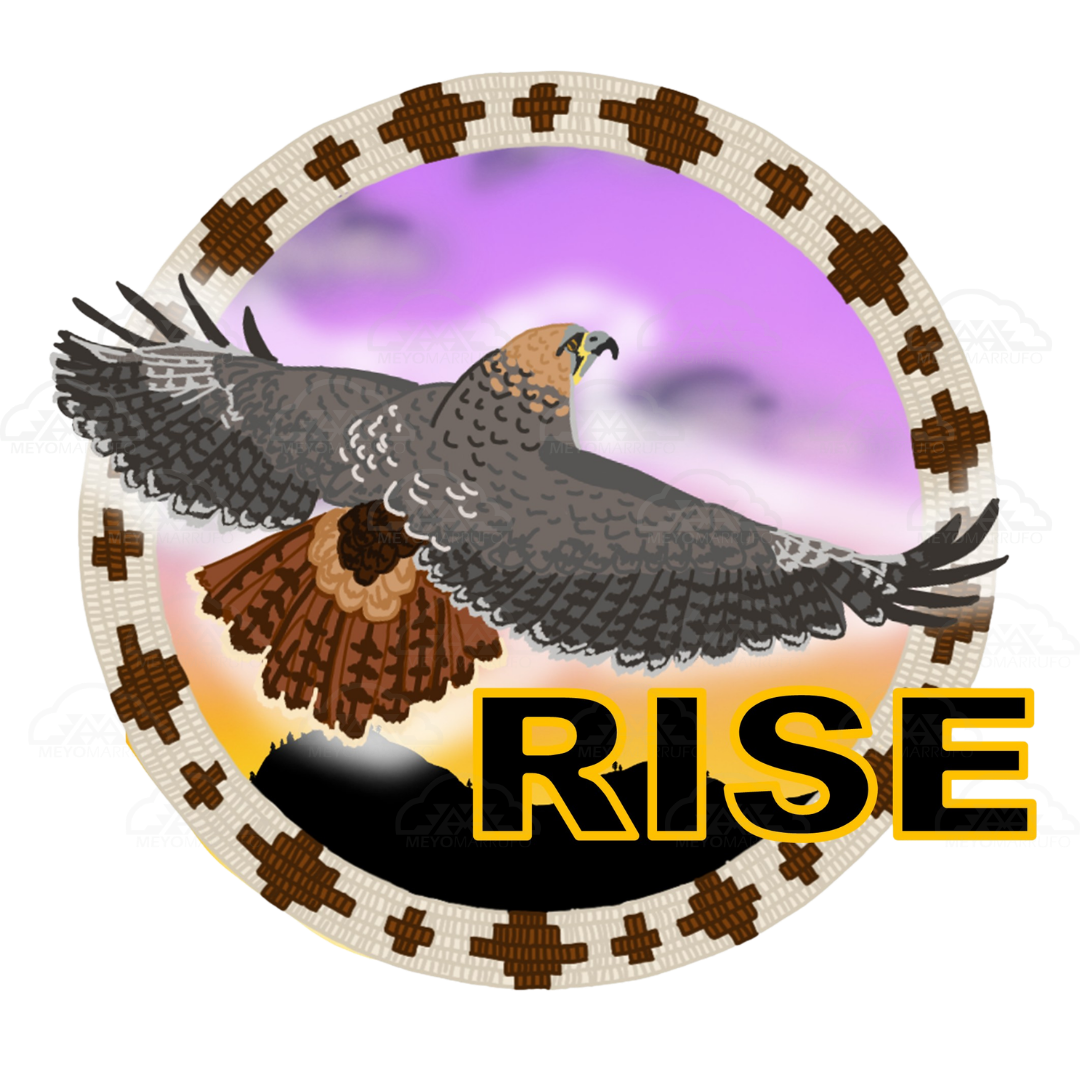 RISE Logo