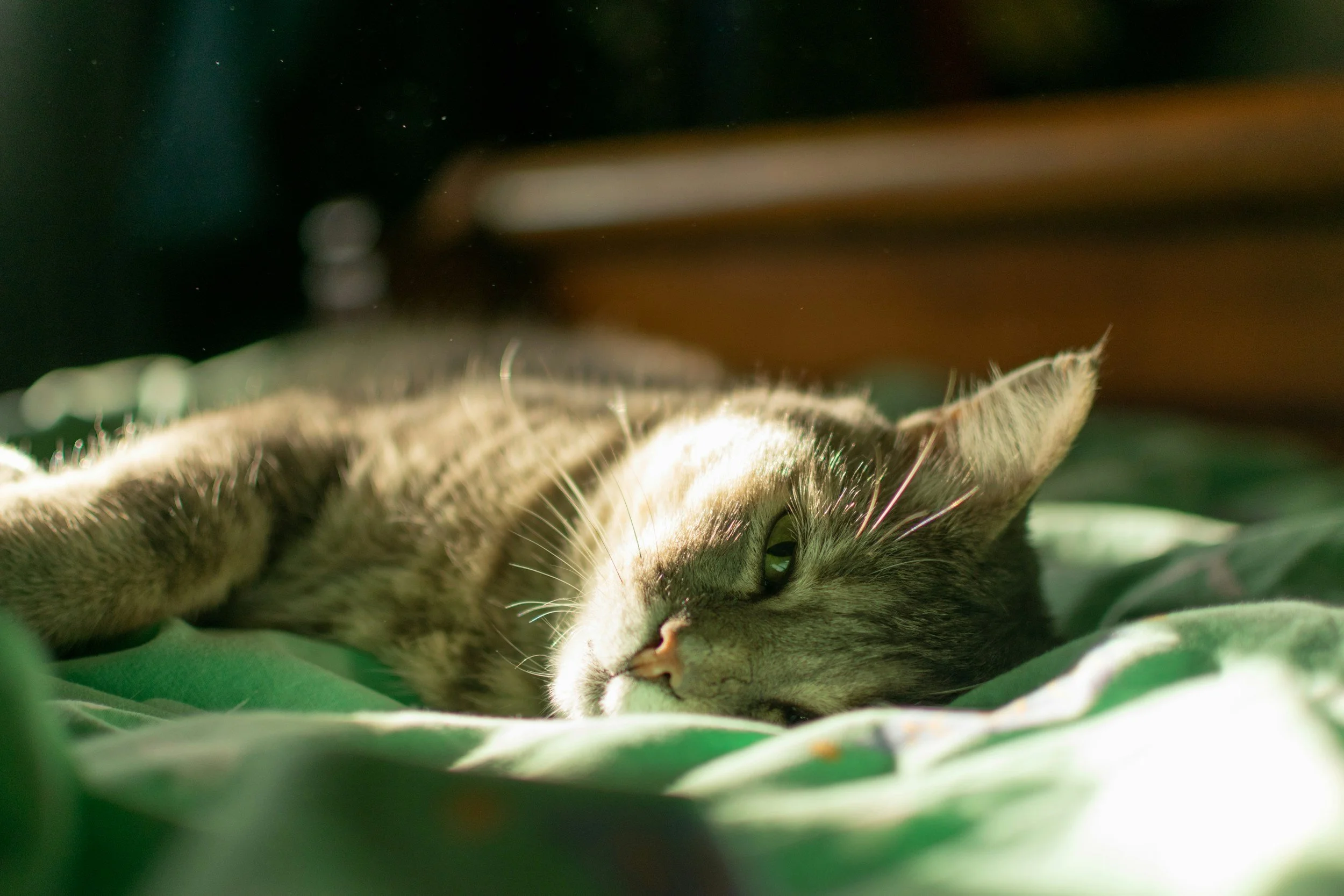 001 How to prepare for Yoga Nidra