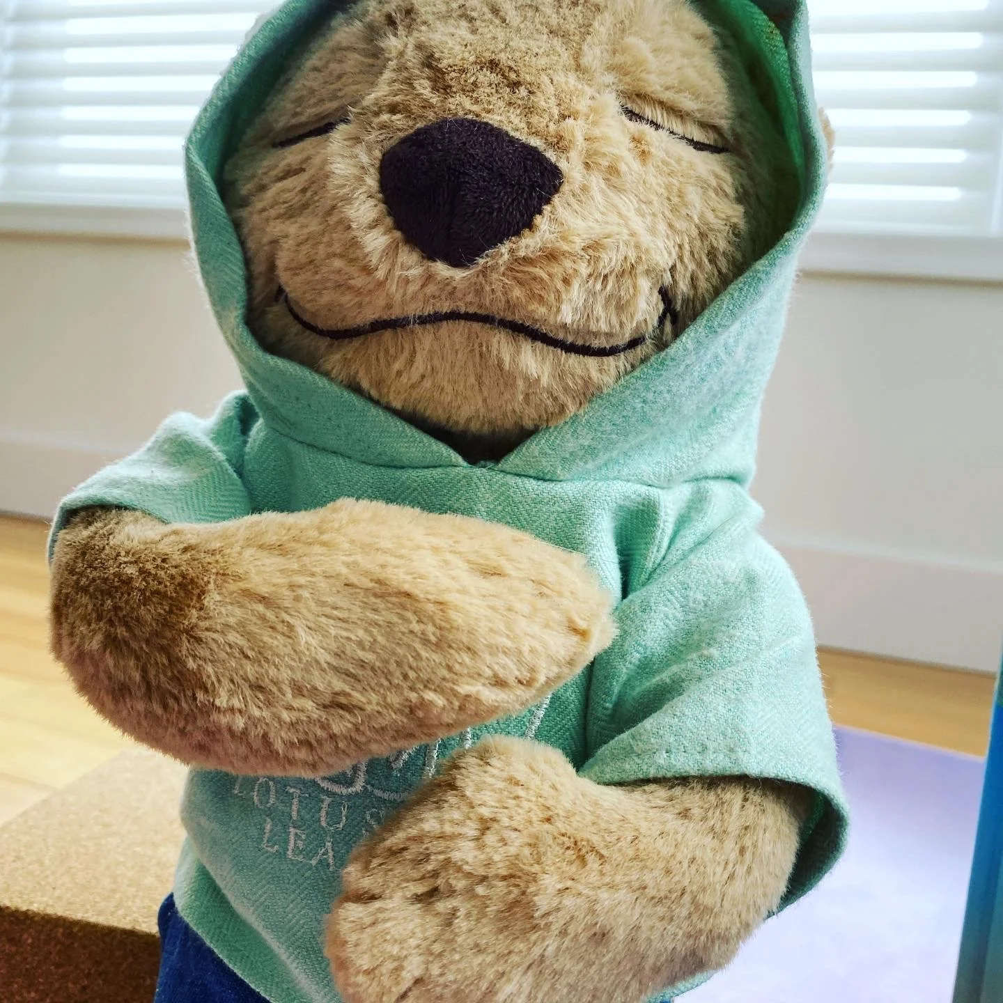 Top 3 Things I Learned from a Stuffed Animal Meditation Bear