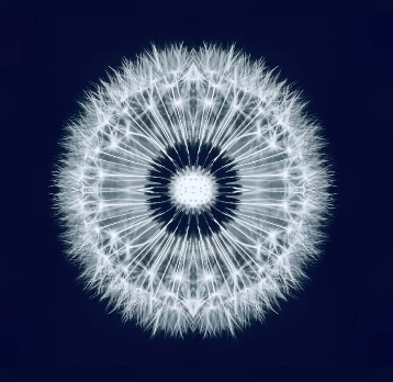 THE NIDRAS FOR MORE PEACE IN 2026