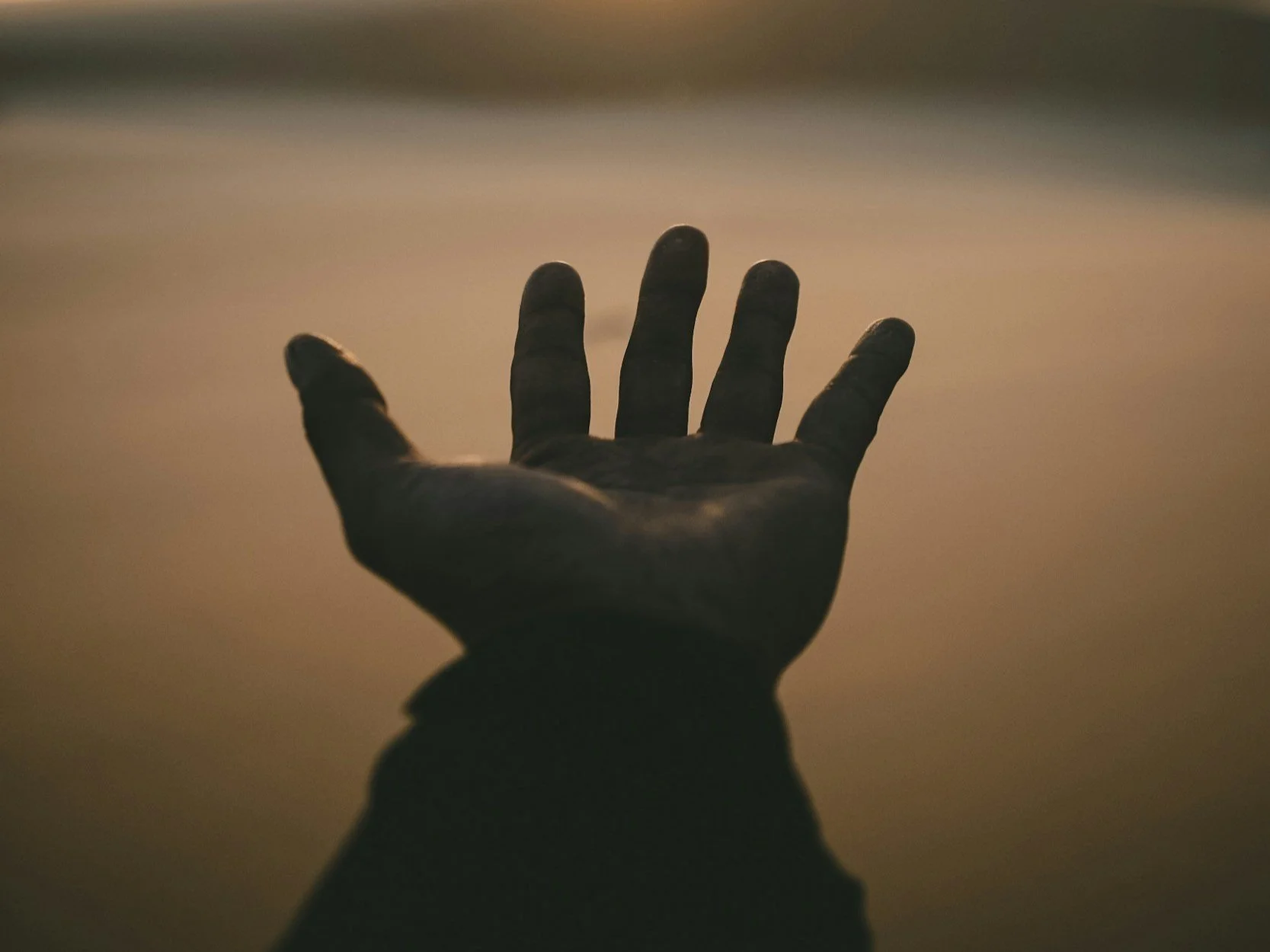 On the Palms of My Hands