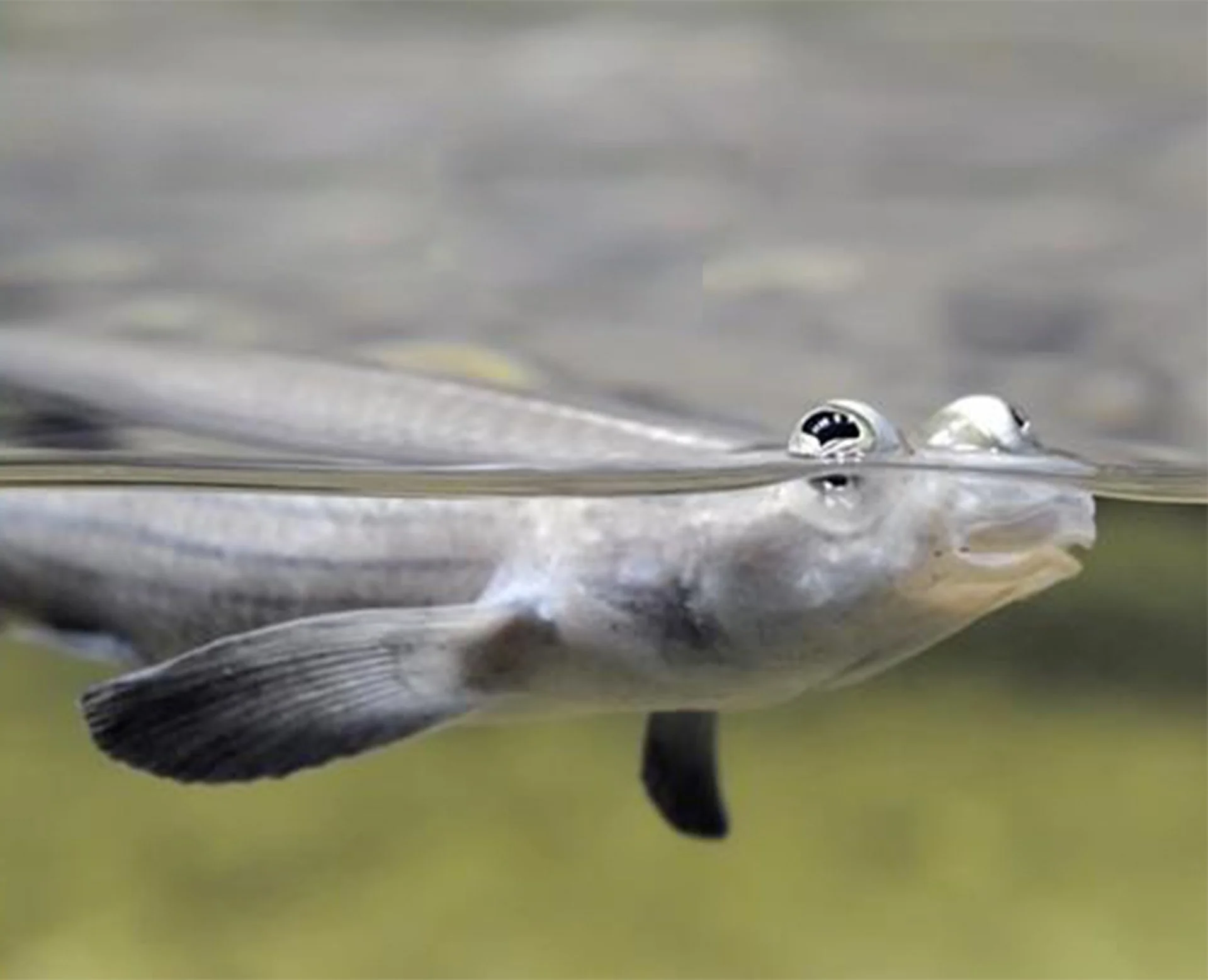 Christmas's Eternal Sign