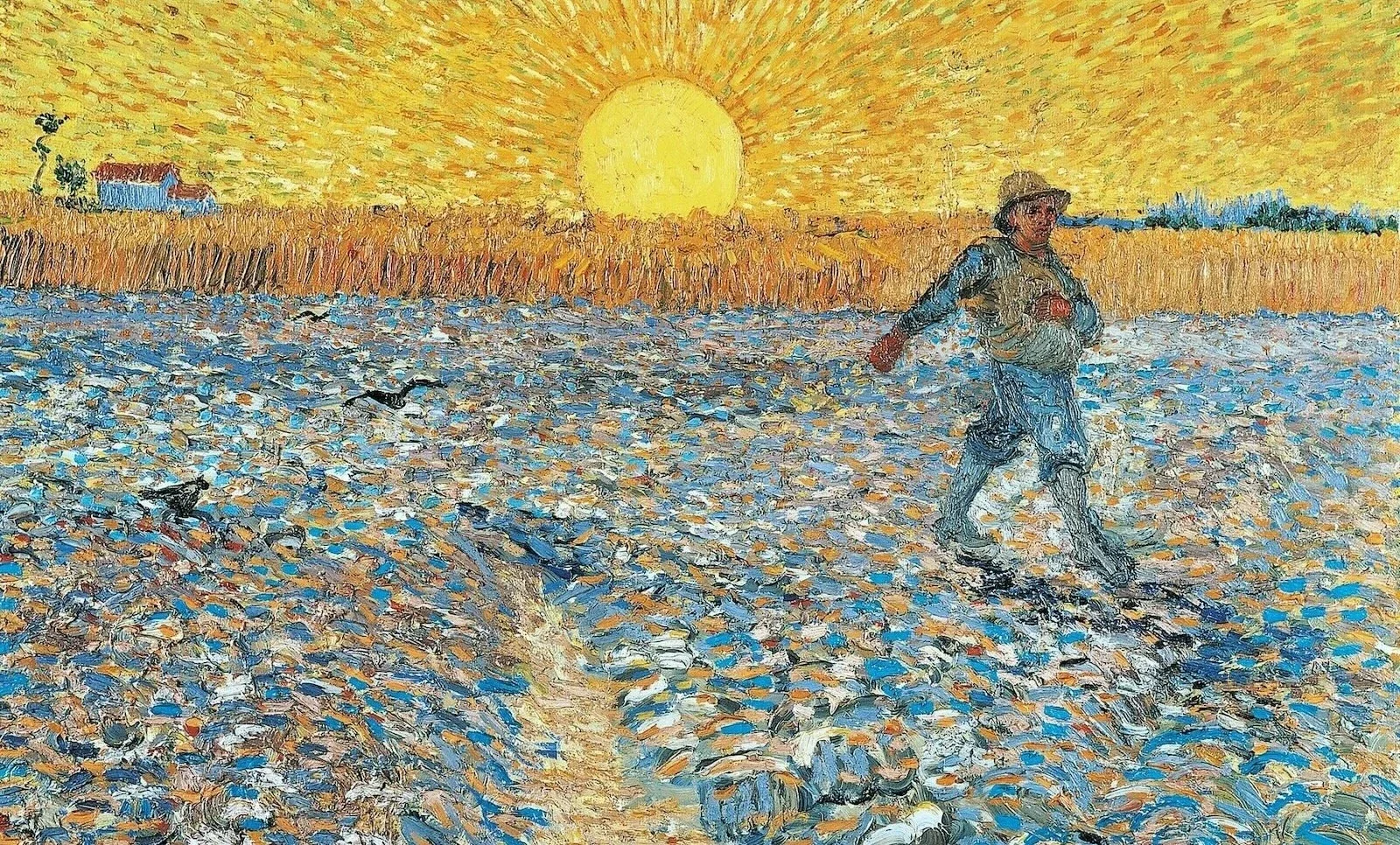 The Sower and the Seed