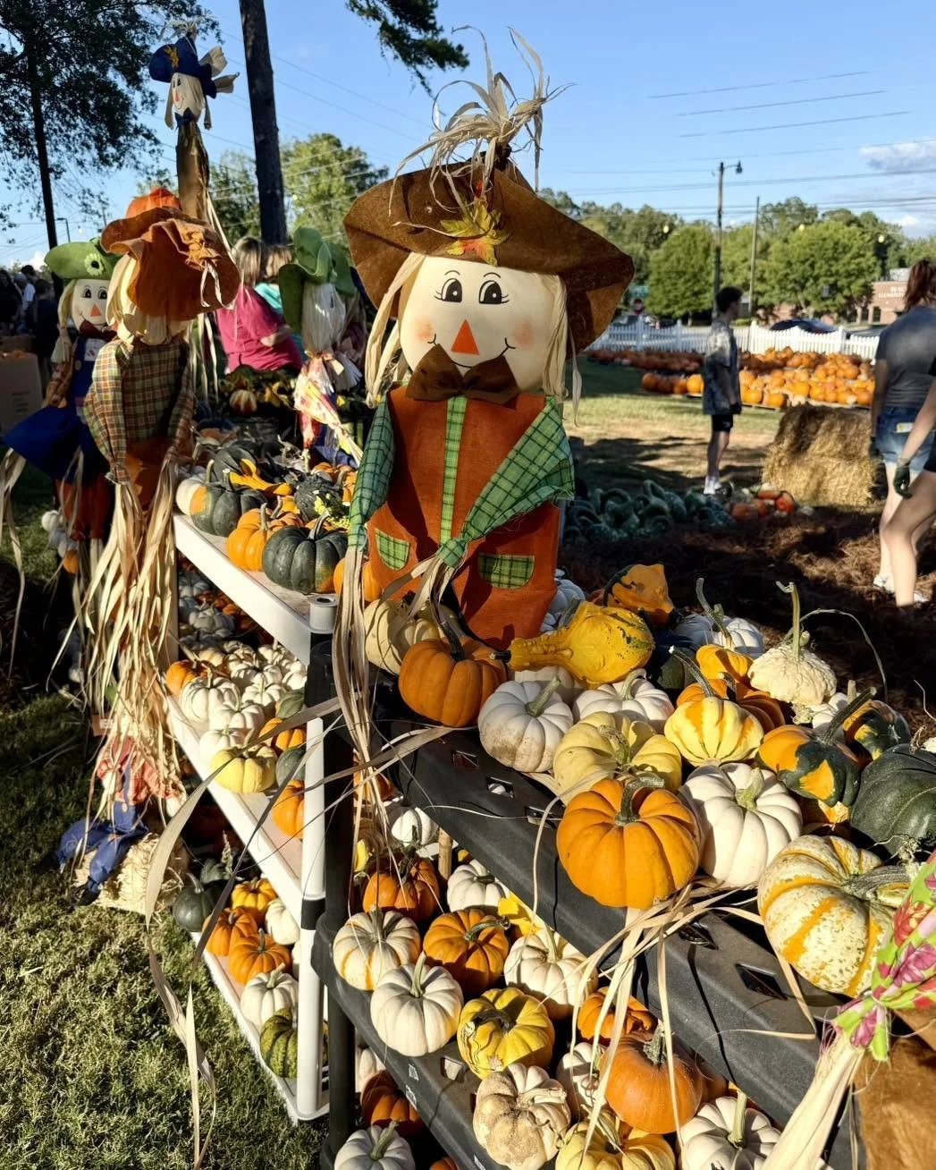 A fall harvest display at an outdoor pumpkin patch featuring scarecrow decorations, various small pumpkins, and gourds on a table with people in the background.