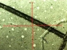 Microscopic-image-of-oil-sample