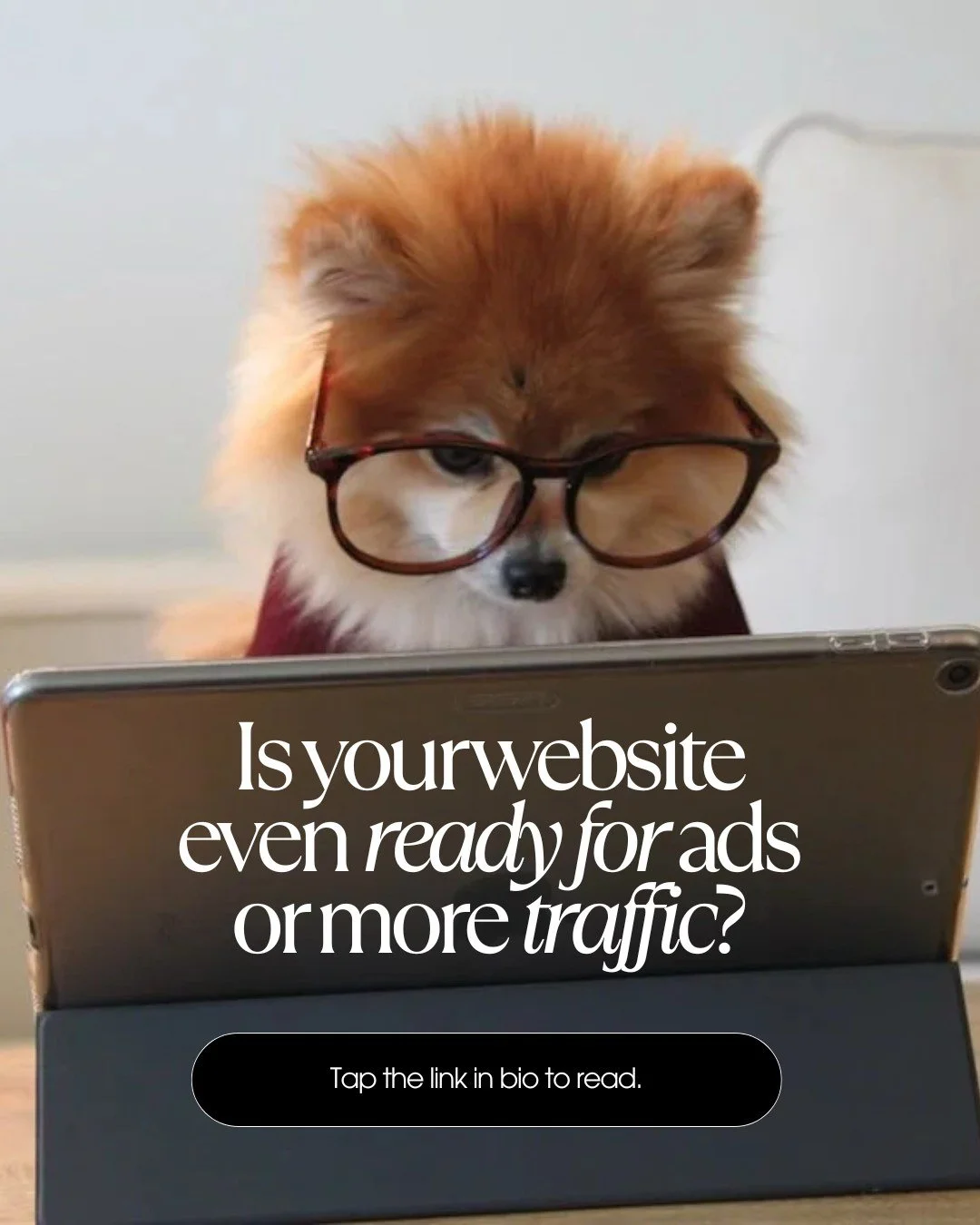 Before you run ads&hellip;
before you chase more traffic&hellip;
before you stress about posting more content&hellip;

Ask yourself this:
Is your website even ready for the visibility you&rsquo;re trying to create?

Our latest Studio Brew breaks down