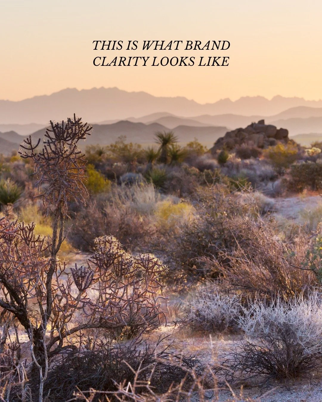 This is what brand clarity looks like in practice.

@trubuildersaz visual system shows up consistently across their projects, graphics, social content, and website &mdash; making their work recognizable no matter where you see it.

When a brand is bu