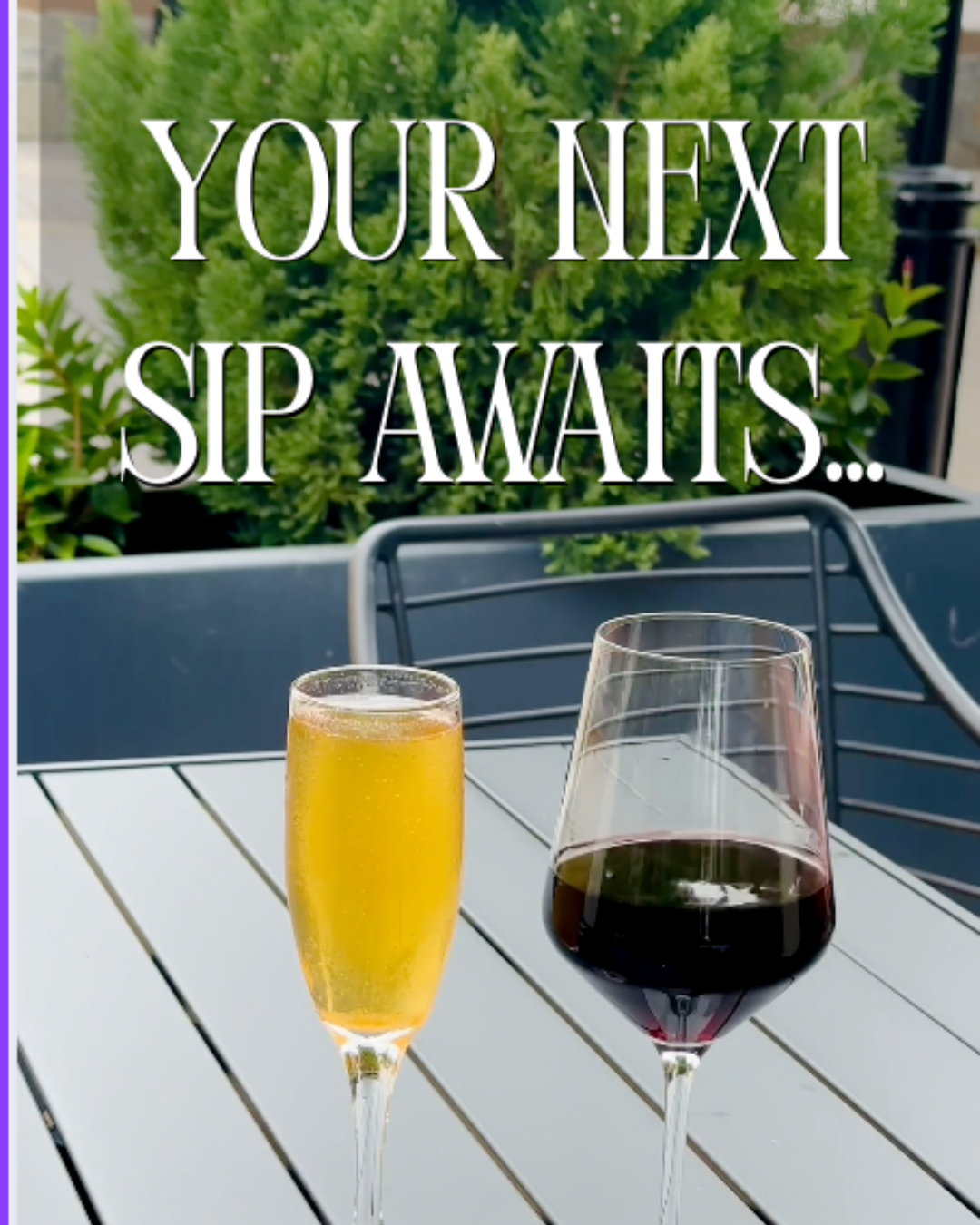 Two glasses of wine, one with white wine and the other with red wine, on an outdoor table with green plants in the background and the overlay text 'Your Next Sip Awaits...'.