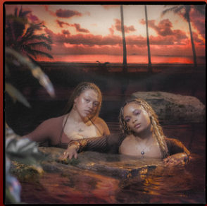 Two people in water at sunset with palm trees in the background.