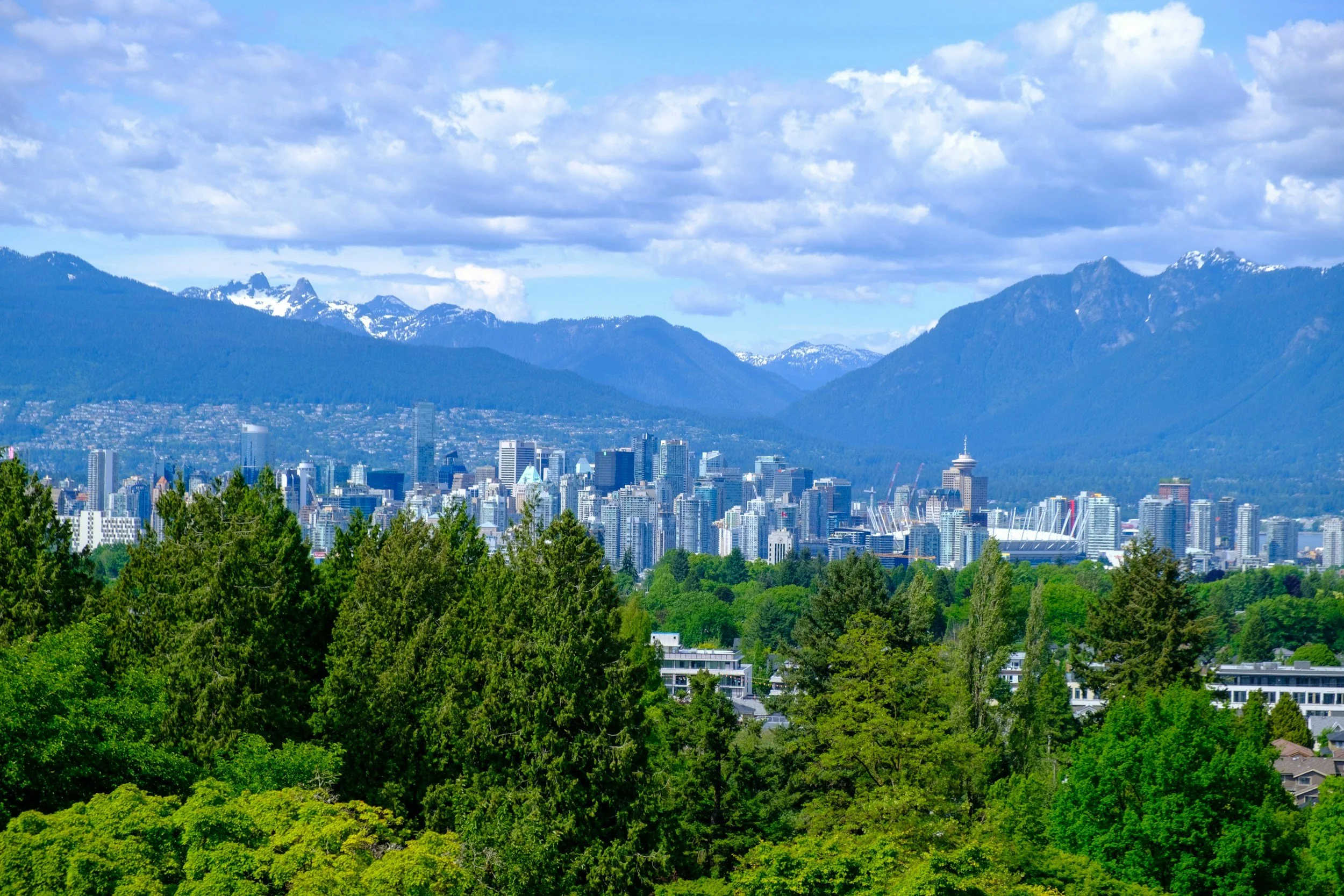 Vancouver Lumber Market Update: Prices Stabilize as the Lower Mainland Finds Its Bottom (June 2026)