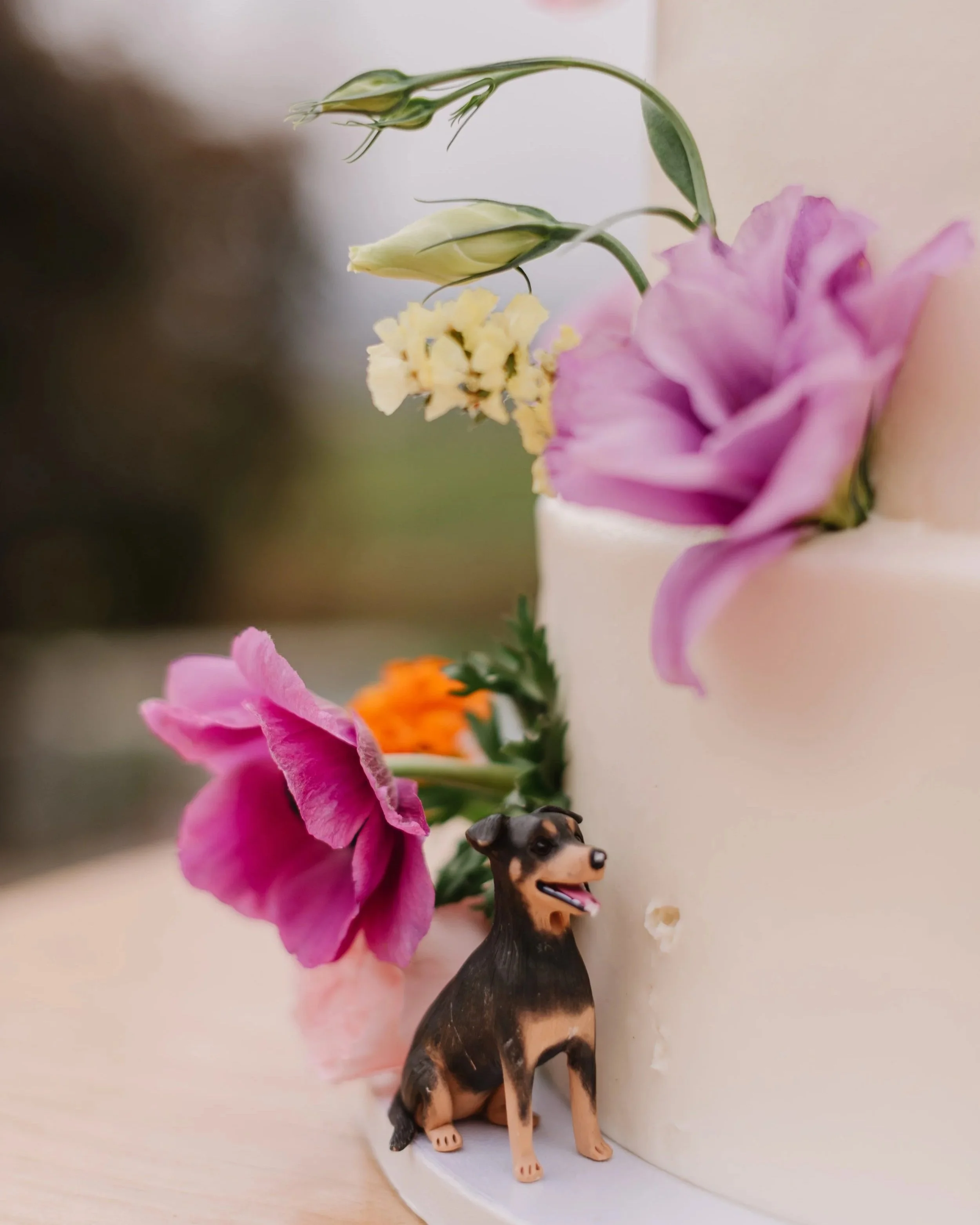 TotahWeddingbyNikkelsPhotography-2077+%281%29.jpg
