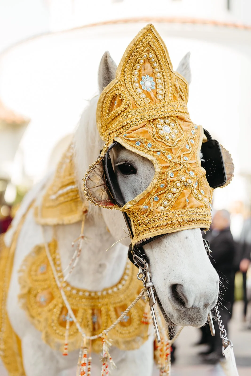 NatalieandNayan Spanish Hills Wedding - Lauren Newman Photography-228_websize (1).jpg