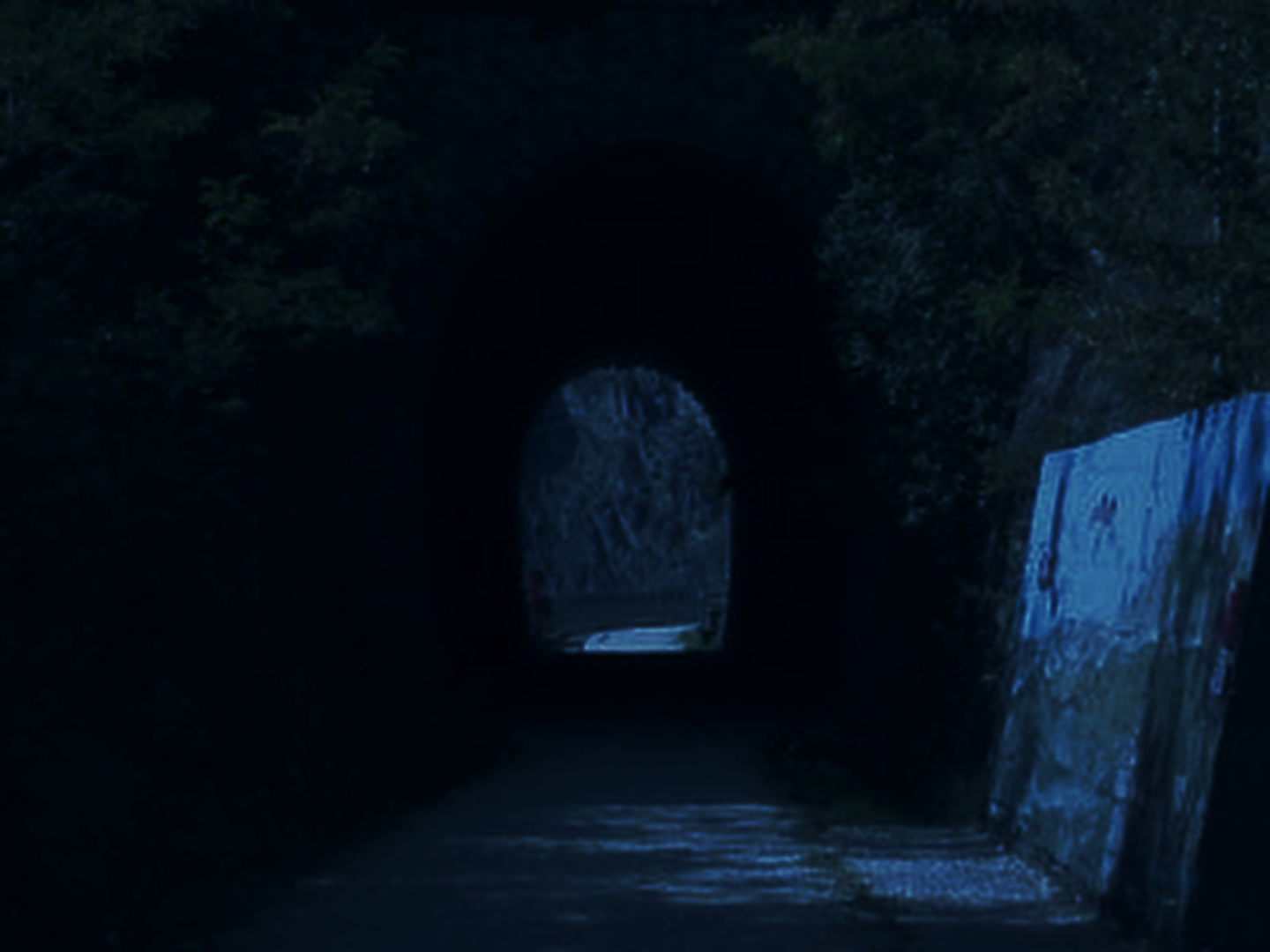 vlcsnap-2026-05-26-17h51m38s990.png