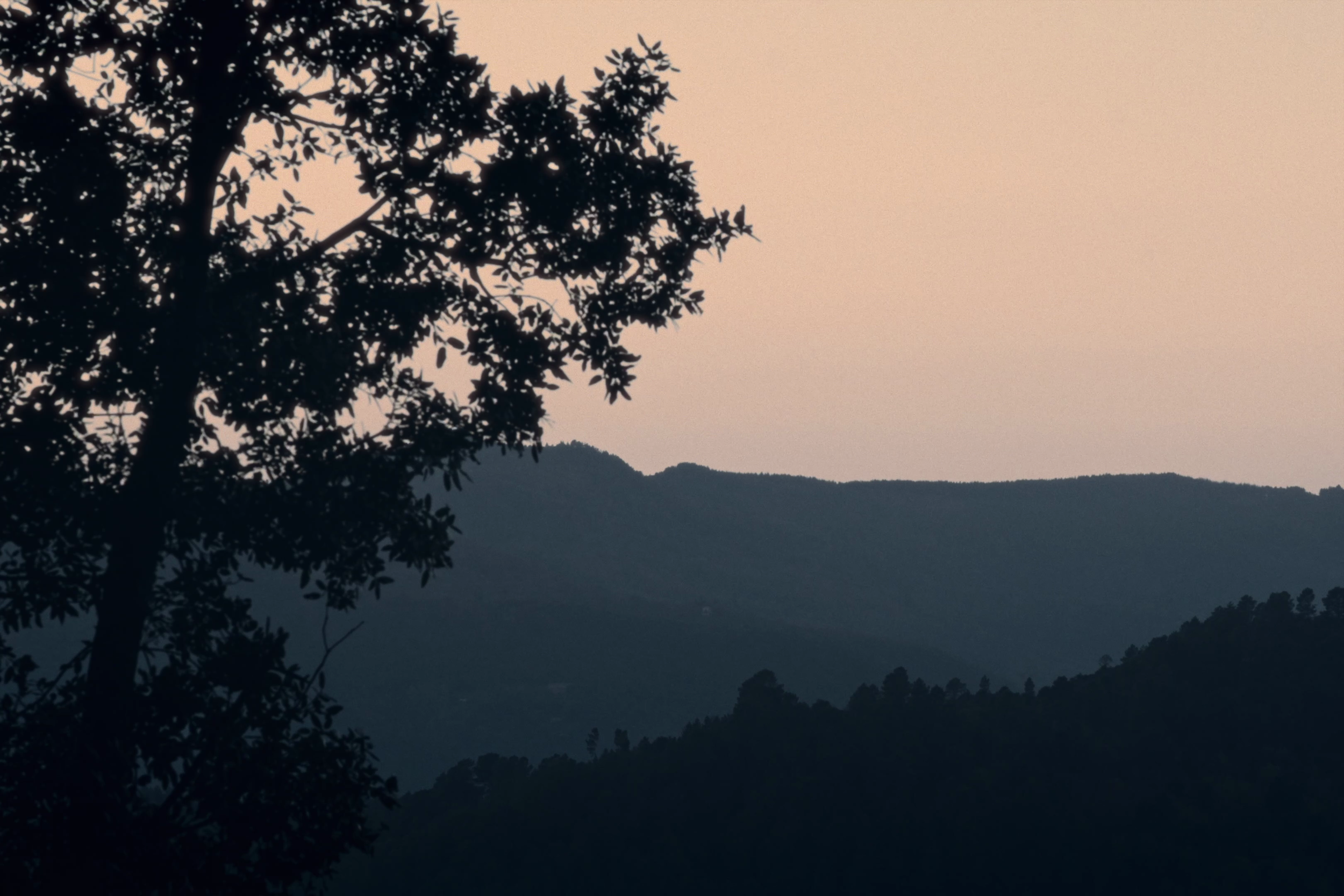 vlcsnap-2026-05-26-15h48m12s851.png