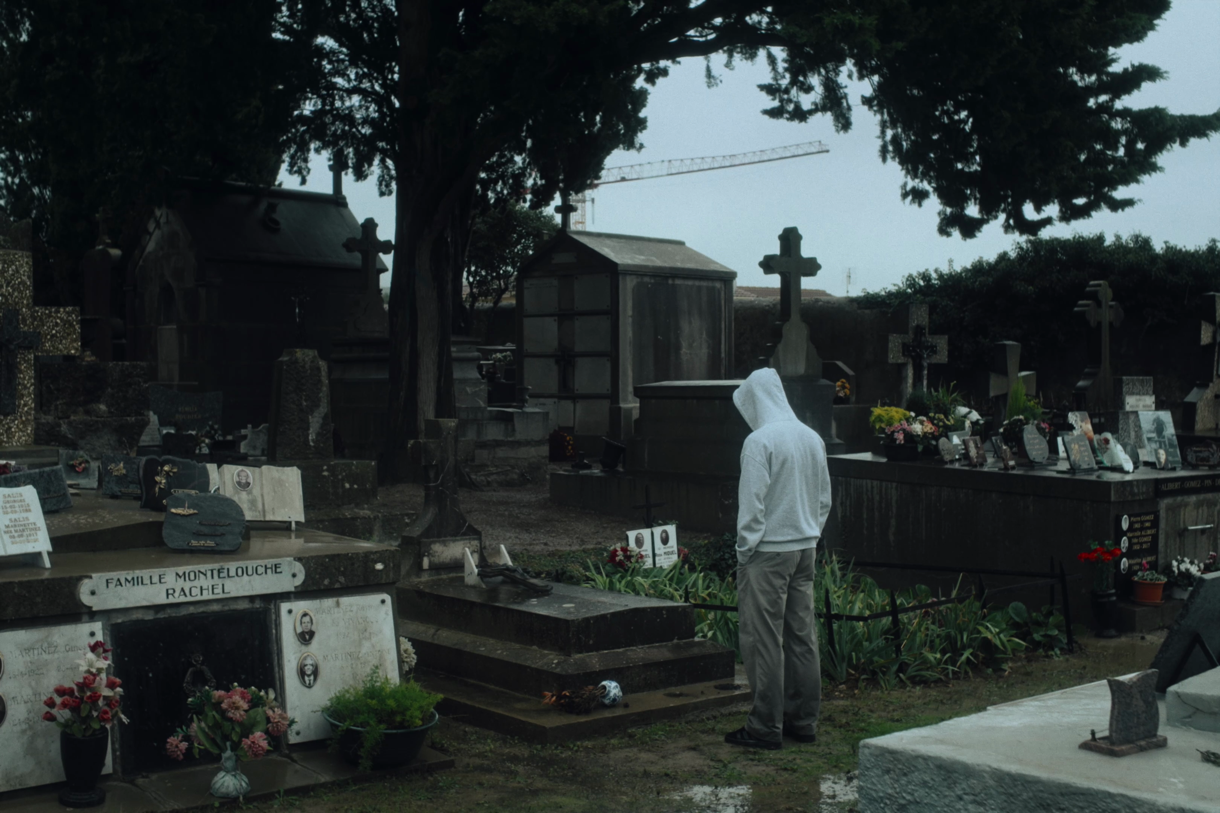 vlcsnap-2026-05-26-15h53m41s178.png