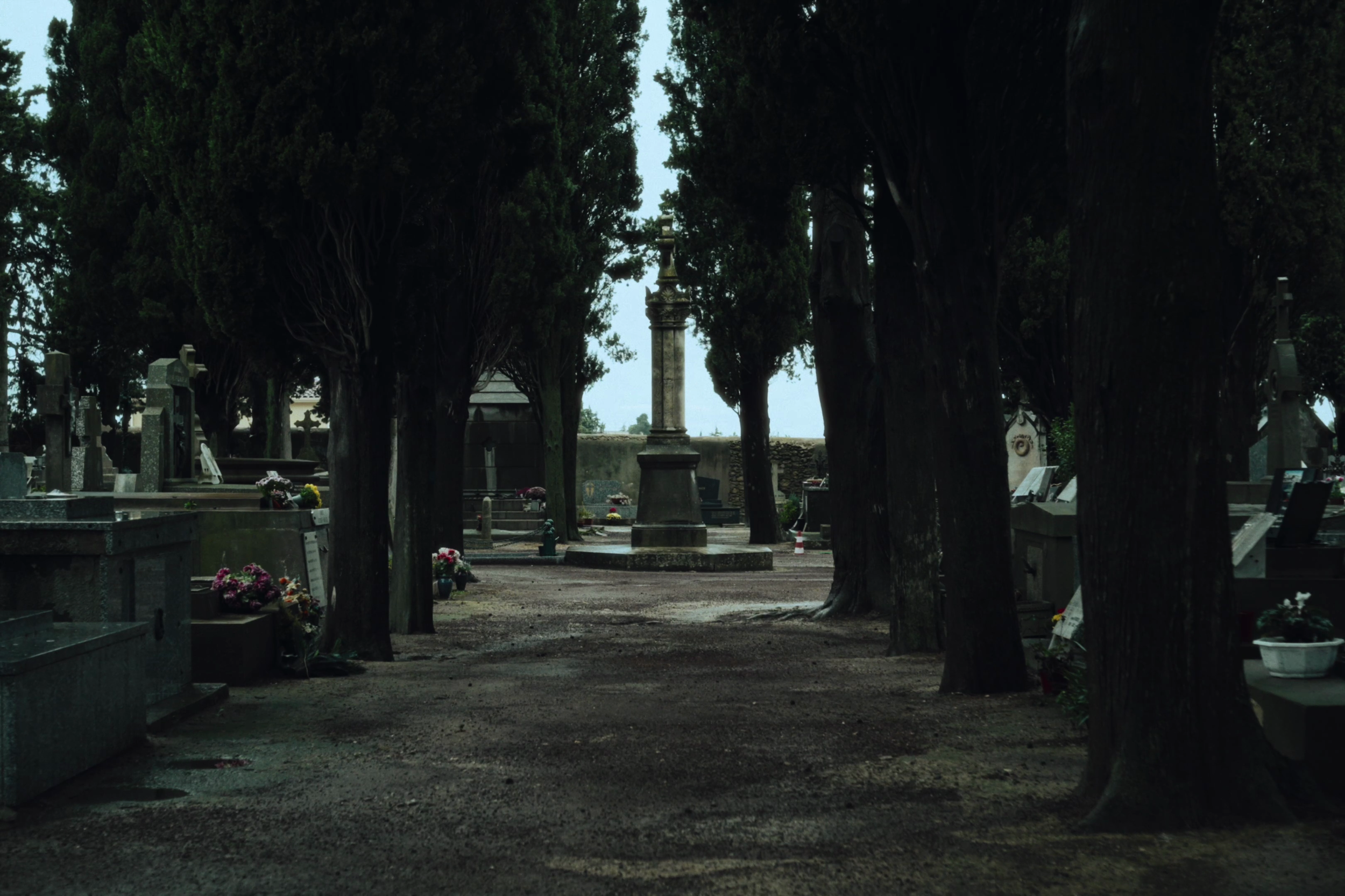 vlcsnap-2026-05-26-15h53m39s221.png