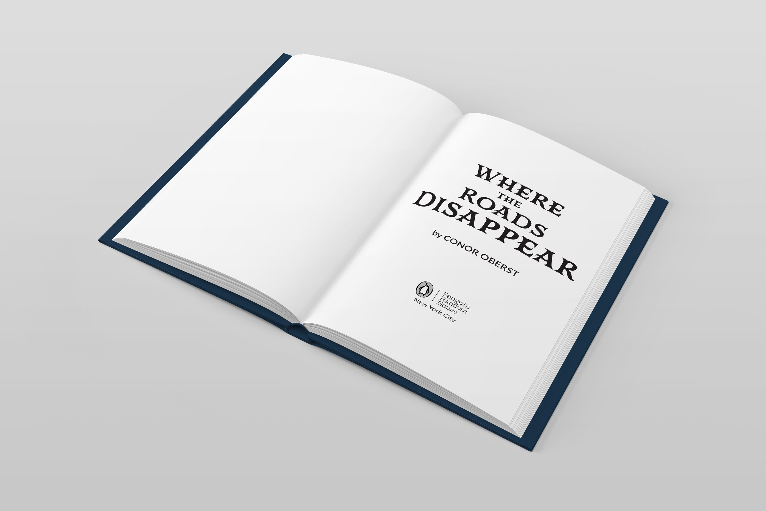 ART3330_MirandaPedigo_BookMockup2.png