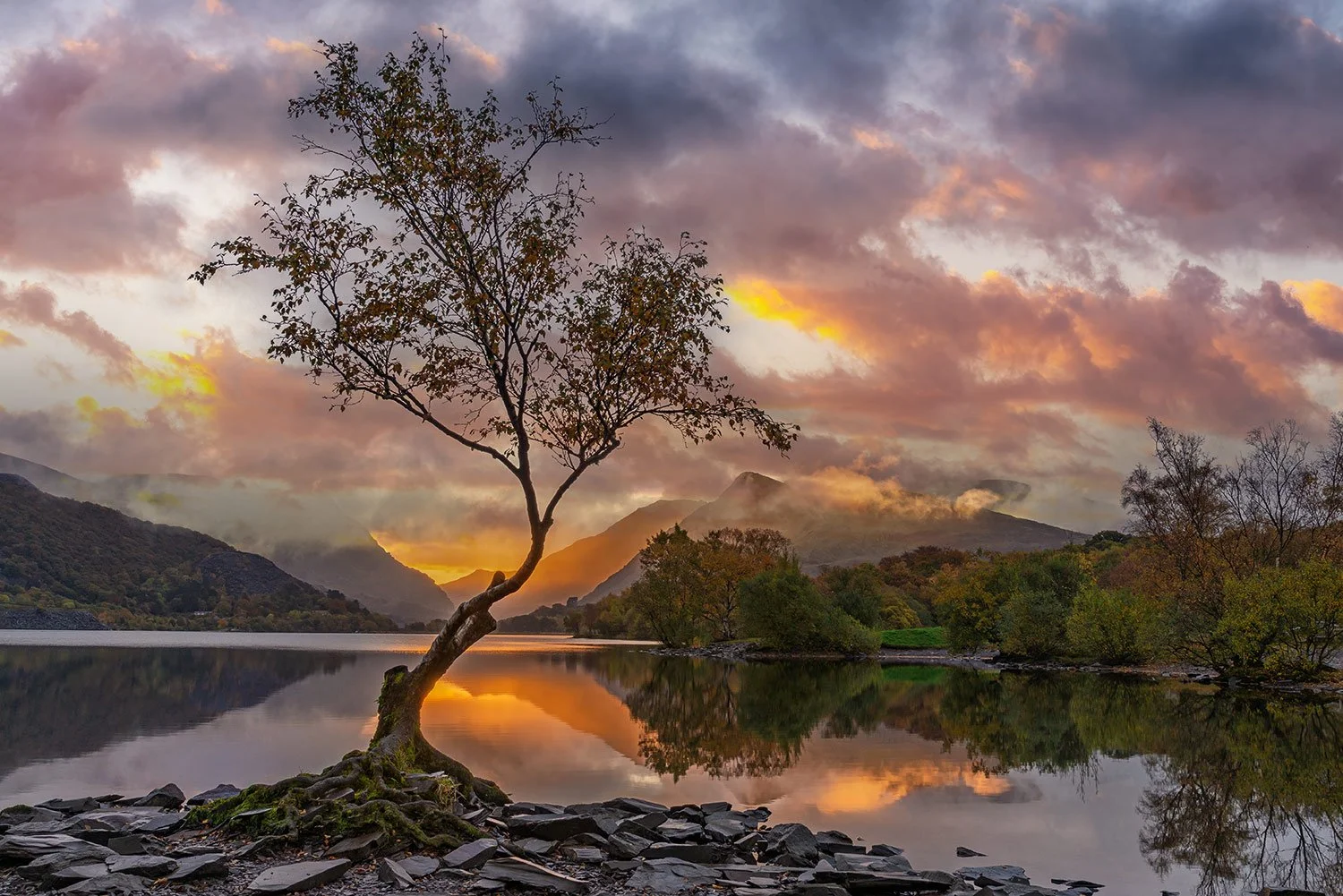 The clouds clear at sunrise at the Llanberis Lonely Tree