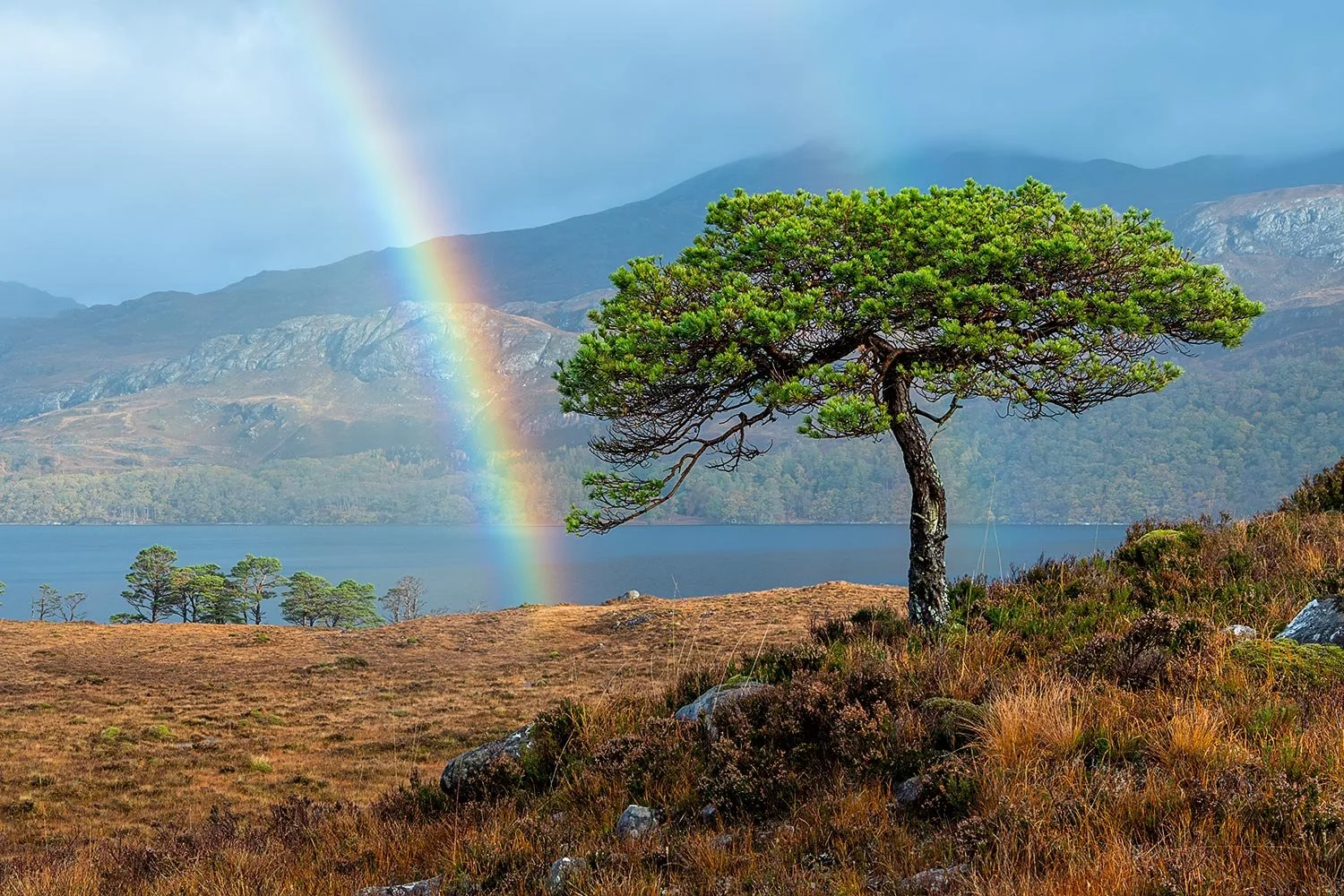 A rainbow over Loch Maree Torridon