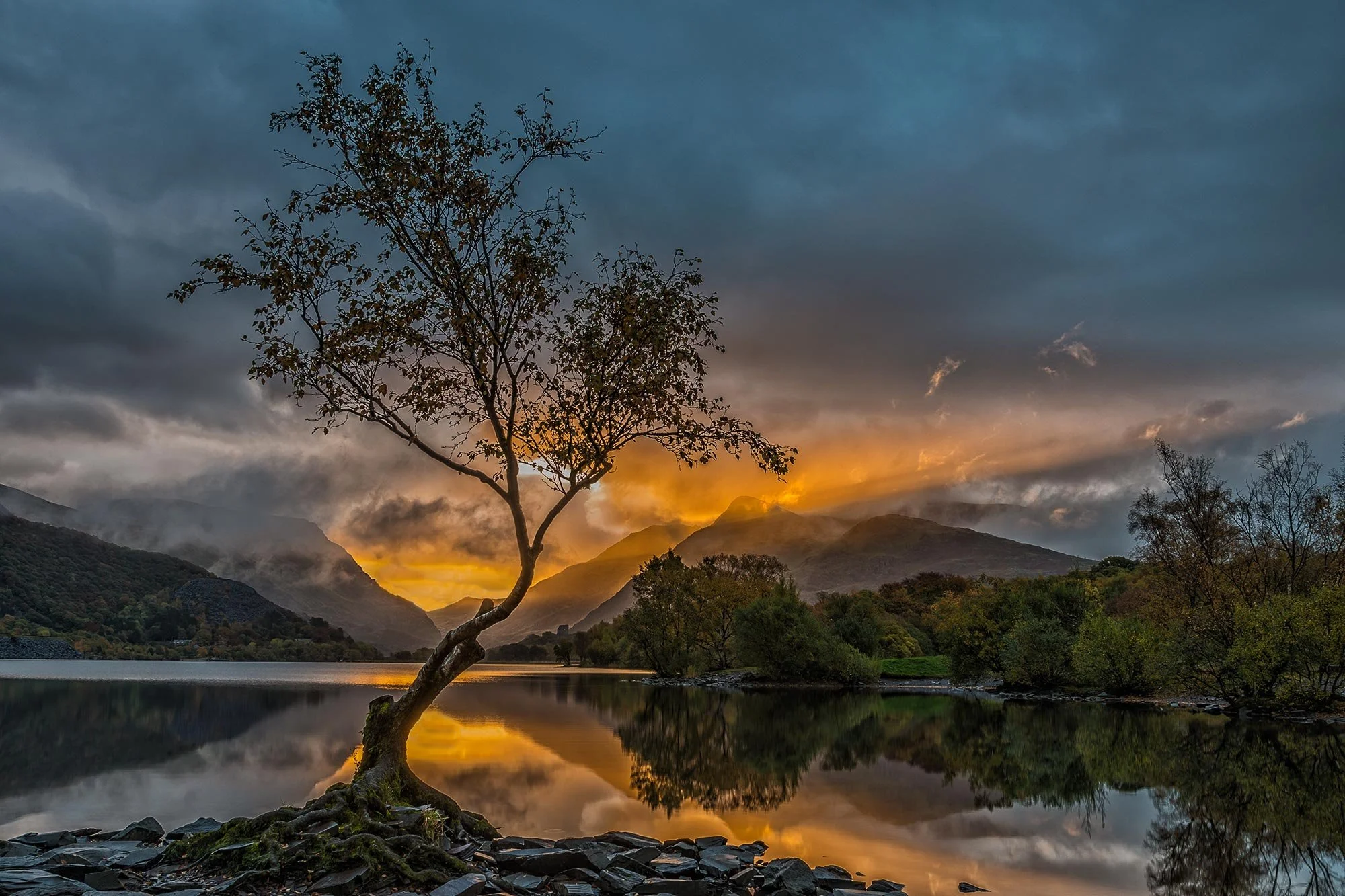 Autumn sunrise at the Llanberis Lonely tree