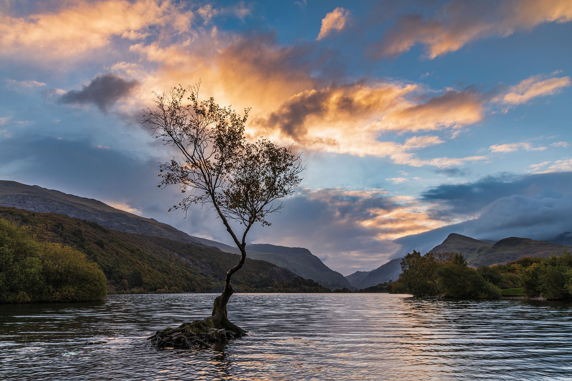 Glimpses of sunlight at the Lonely Tree in Snowdonia