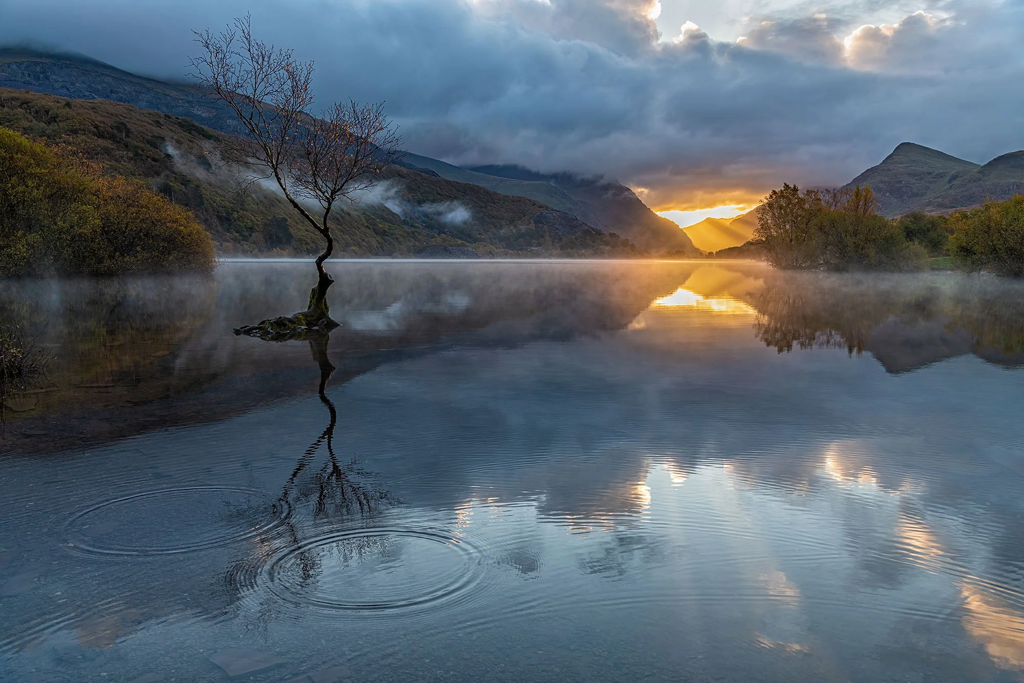 A different perspective on Snowdonia's Lonely Tree