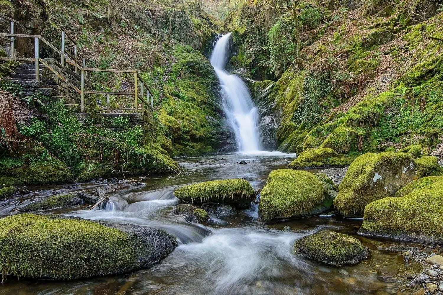 Dolgoch Falls waterfall