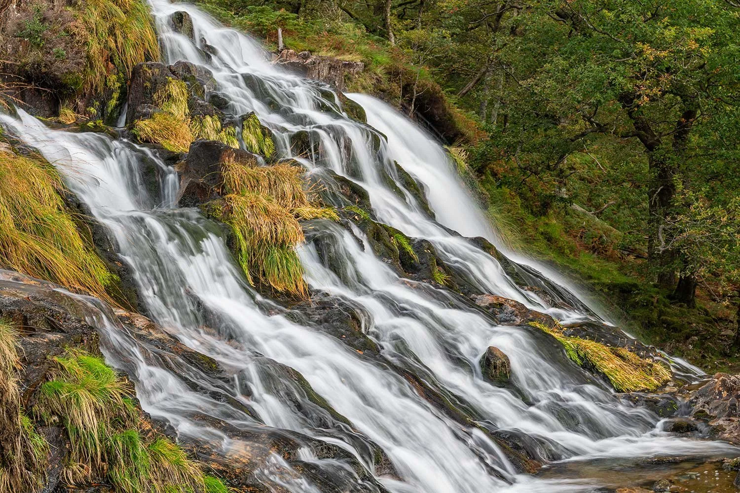 Watkin Path Waterfalls: A Photography Guide