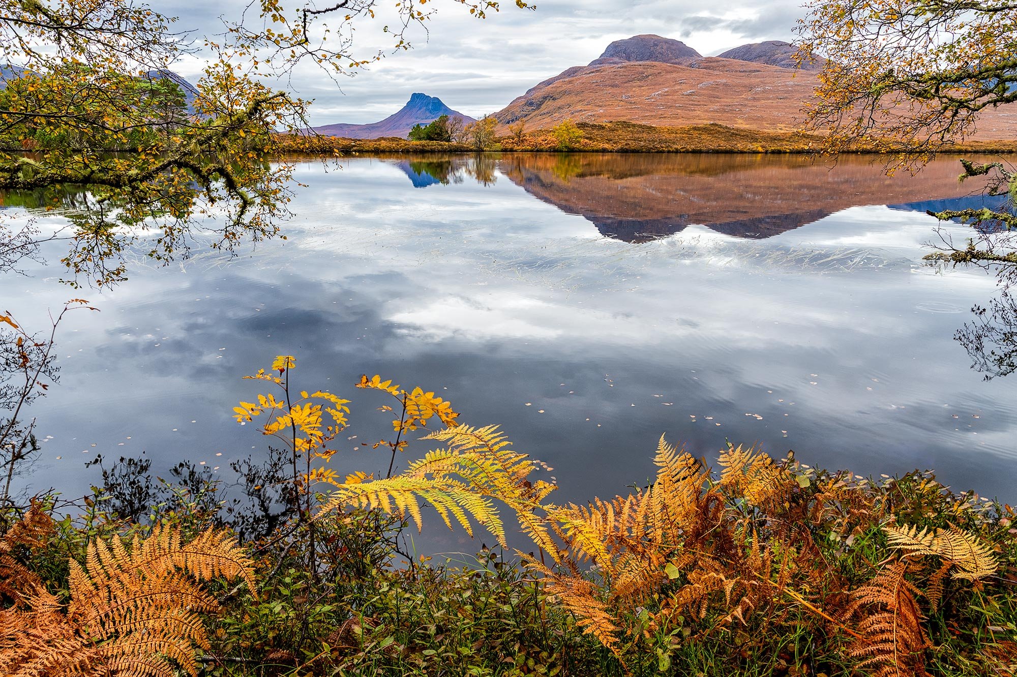 Stac Polliadh reflected in Loch Dromannan surrounded by autumn colours