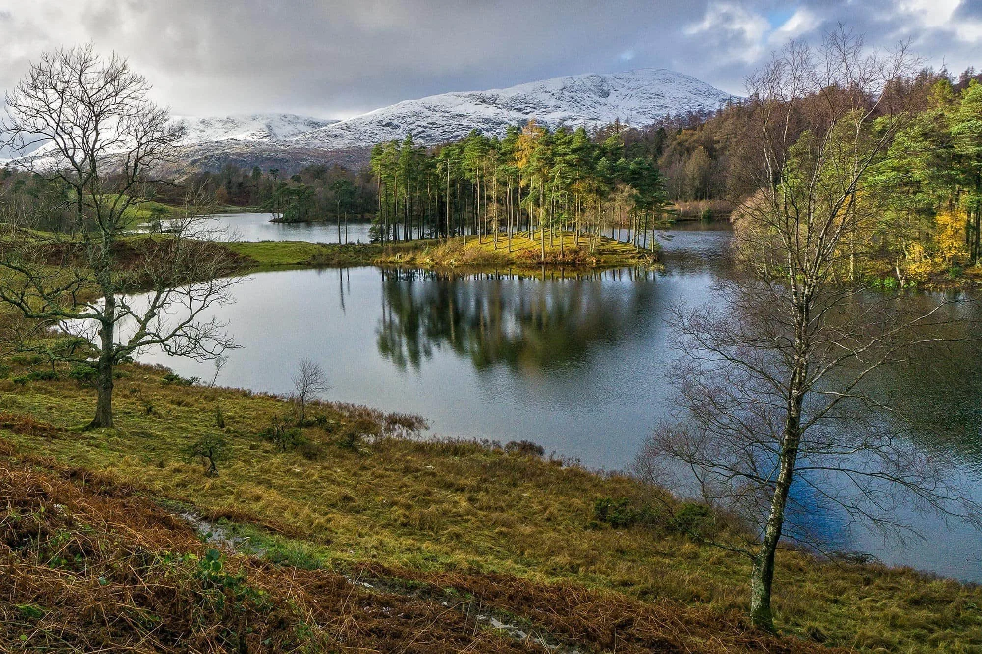 Tarn Hows - one of the most beautiful views of the Lake District