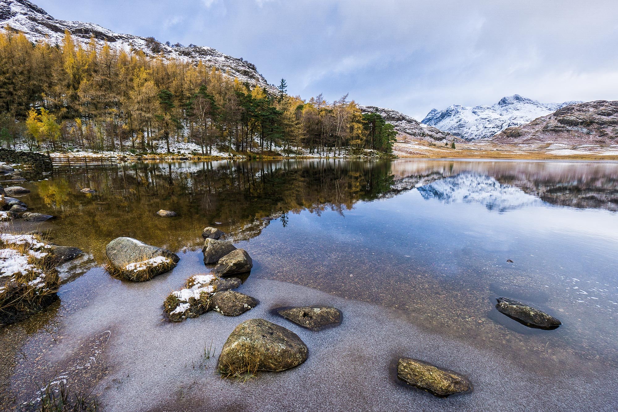 Winter snow on the Langdale Pikes reflected in Blea tarn