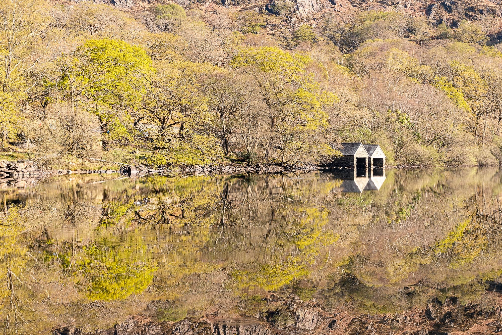 stunning-reflections-on-llyn-dinas.jpg