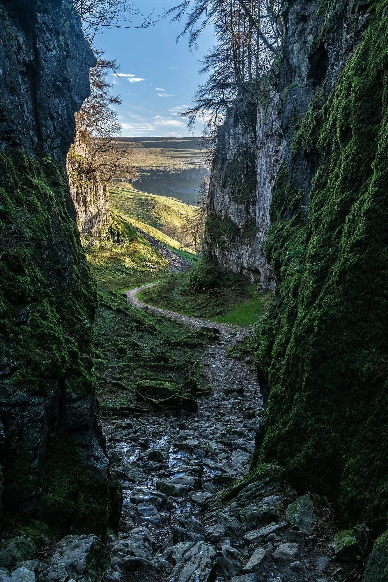 Trow Gill in the Yorkshire Three Peaks limestone country