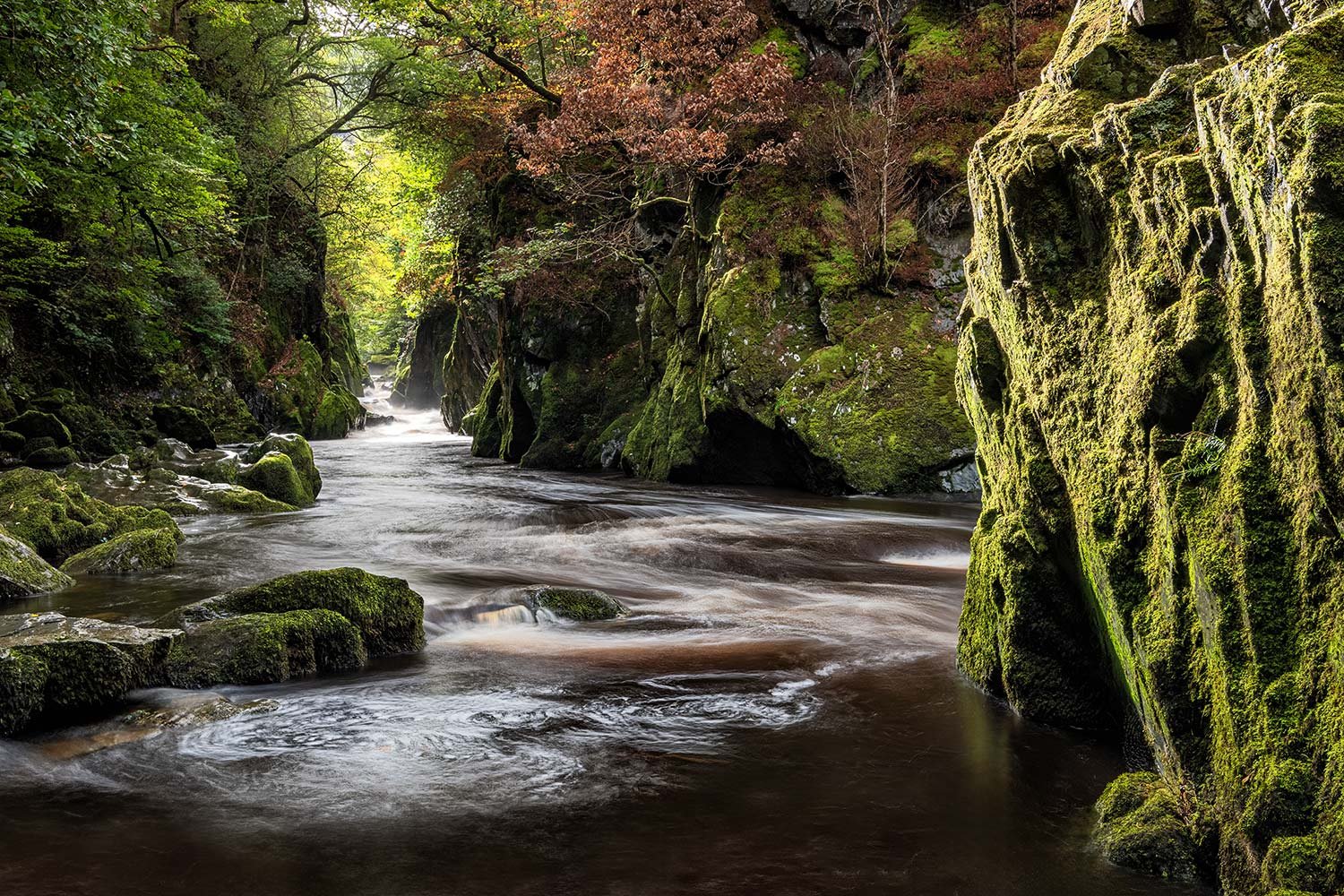 Photographing Ffos Anoddun: A Guide to North Wales’ Hidden Fairy Glen