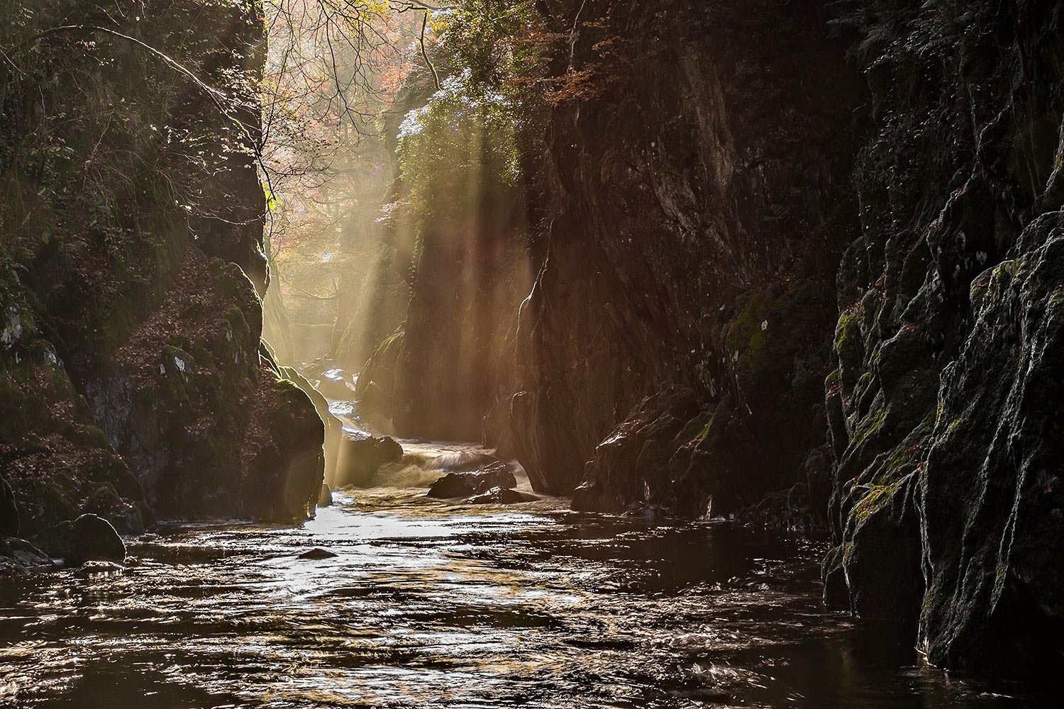 A magical sunburst at Fairy Glen near Betws-y-coed