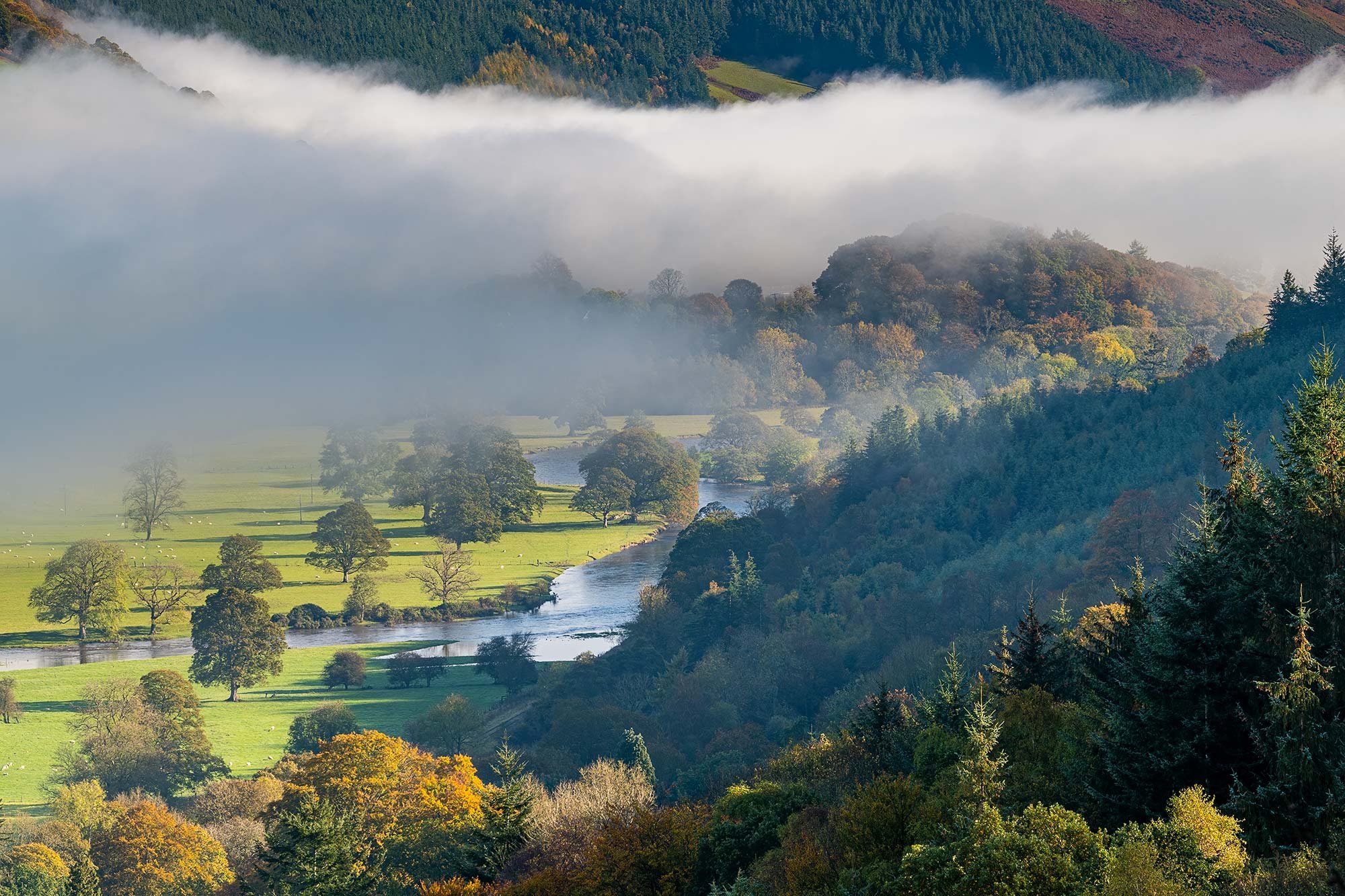 River Dee misty autumn morning near Corwen in the Dee valley