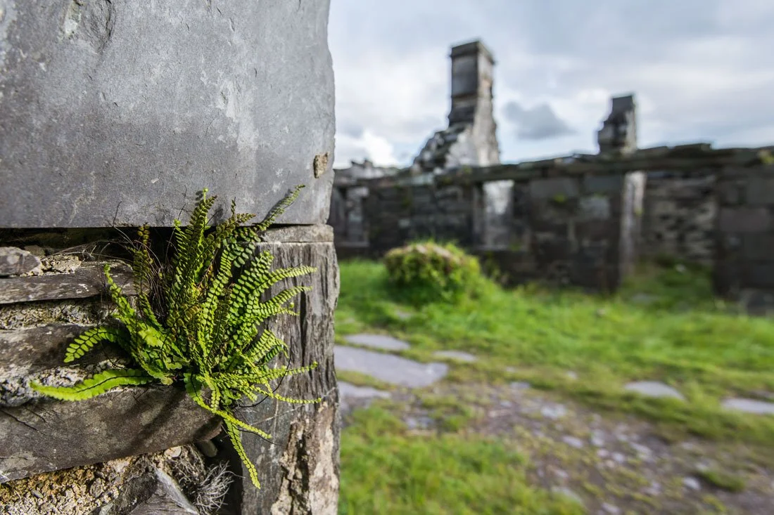 dinorwic-slate-quarry-llanberis-photo-5.jpg
