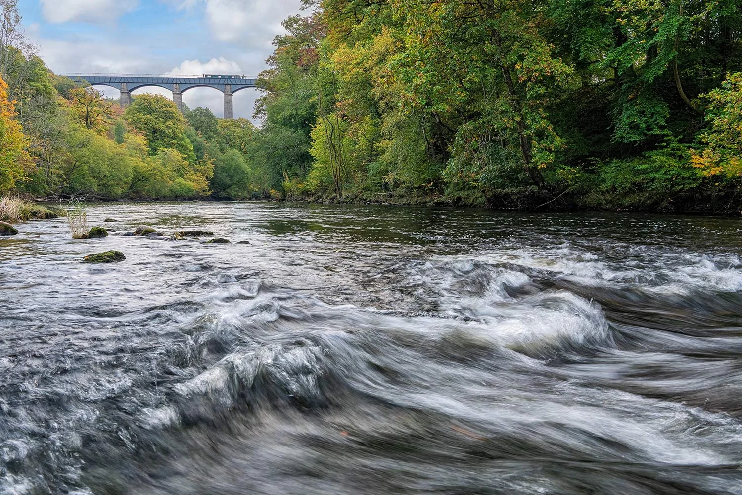 The view of Pontcysyllte aqueduct from the River Dee surrounded by stunning autumn woodland