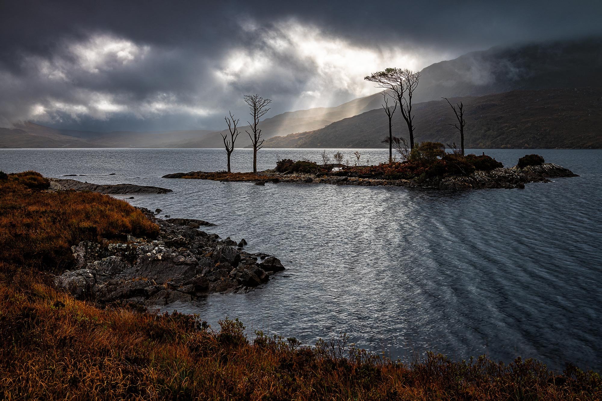 Scot pines on Loch Assynt with the backdop of a stunning sunburst over the mountains