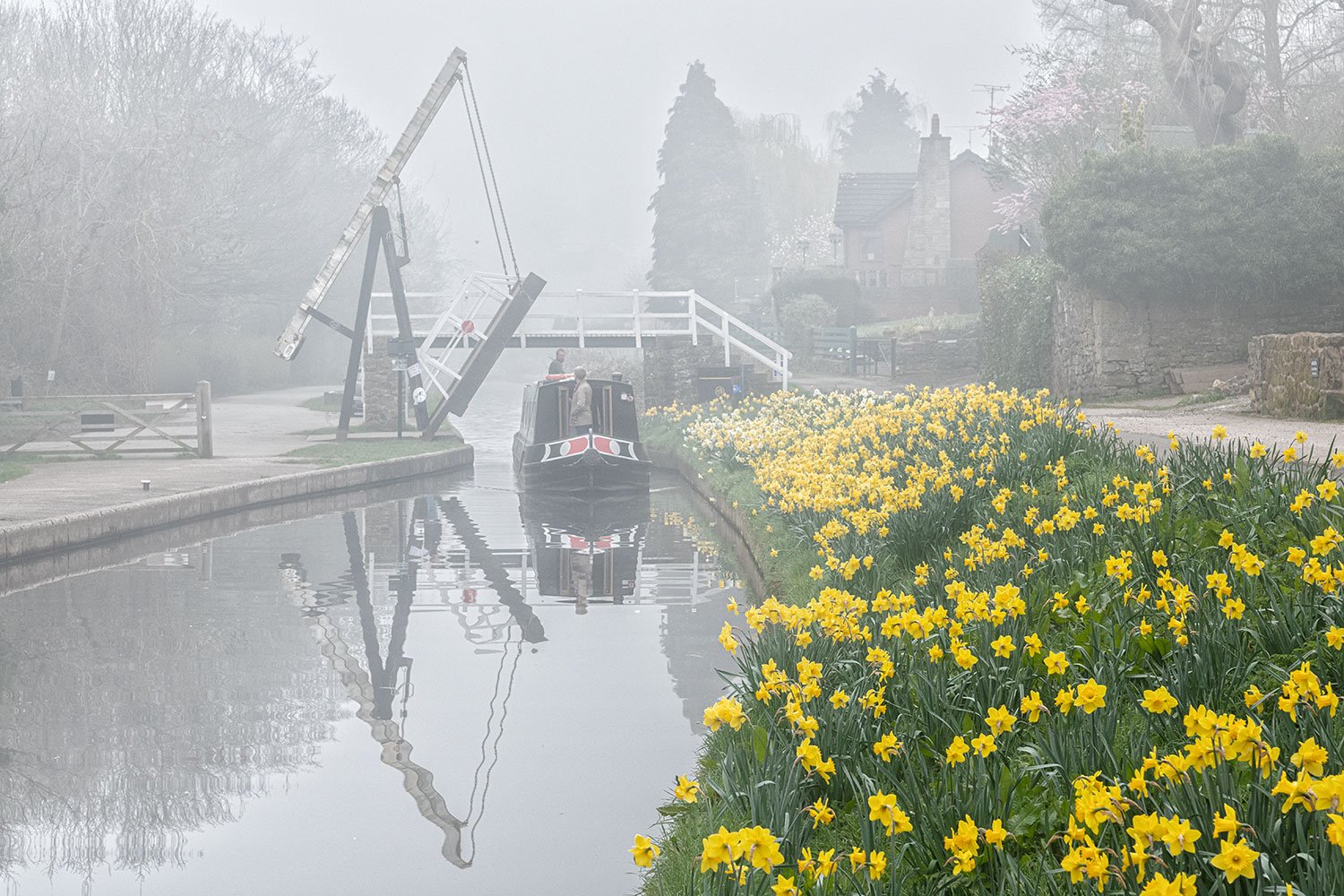 A pontcysyllte aqueduct boat trip on llangollen canal on a misty spring morning with daffodils on the tow path.