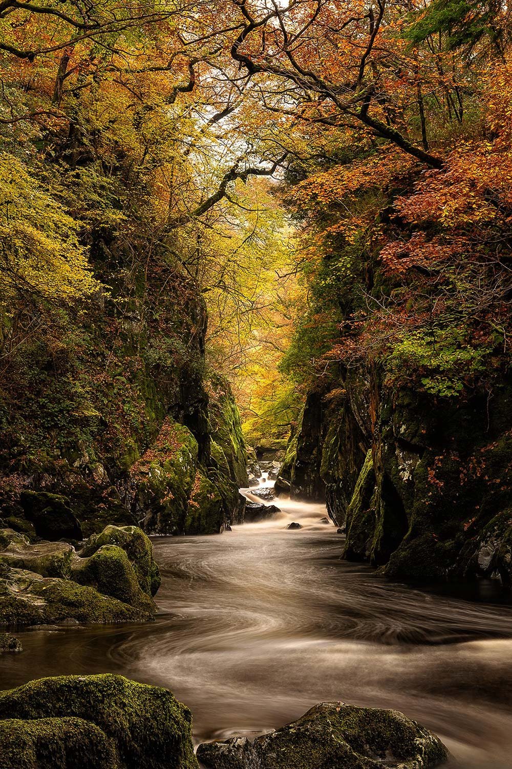 Stunning autumn colours at Fairy Glen near Betws-y-coed