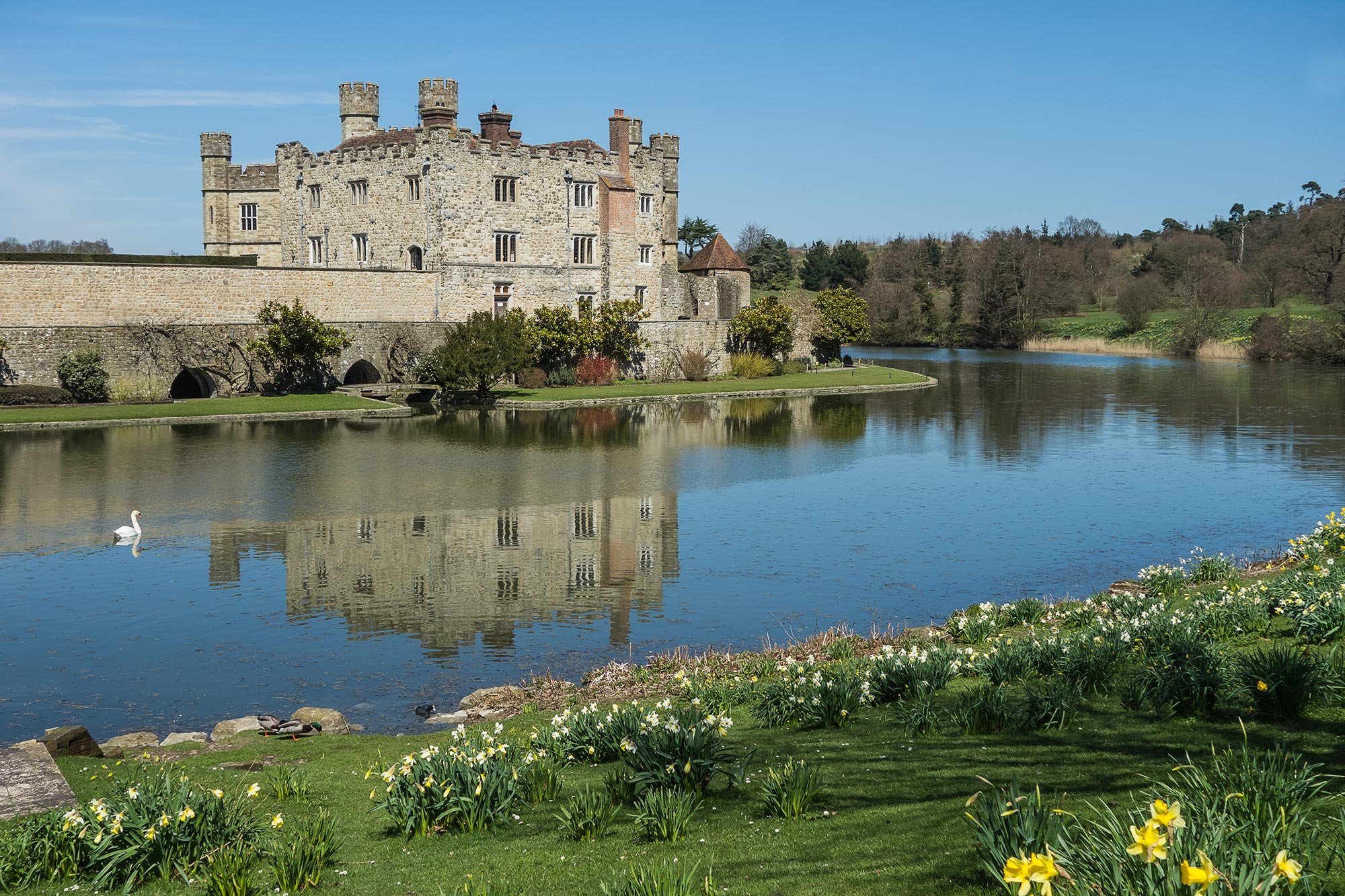 Spring flowers at Leeds castle in kent