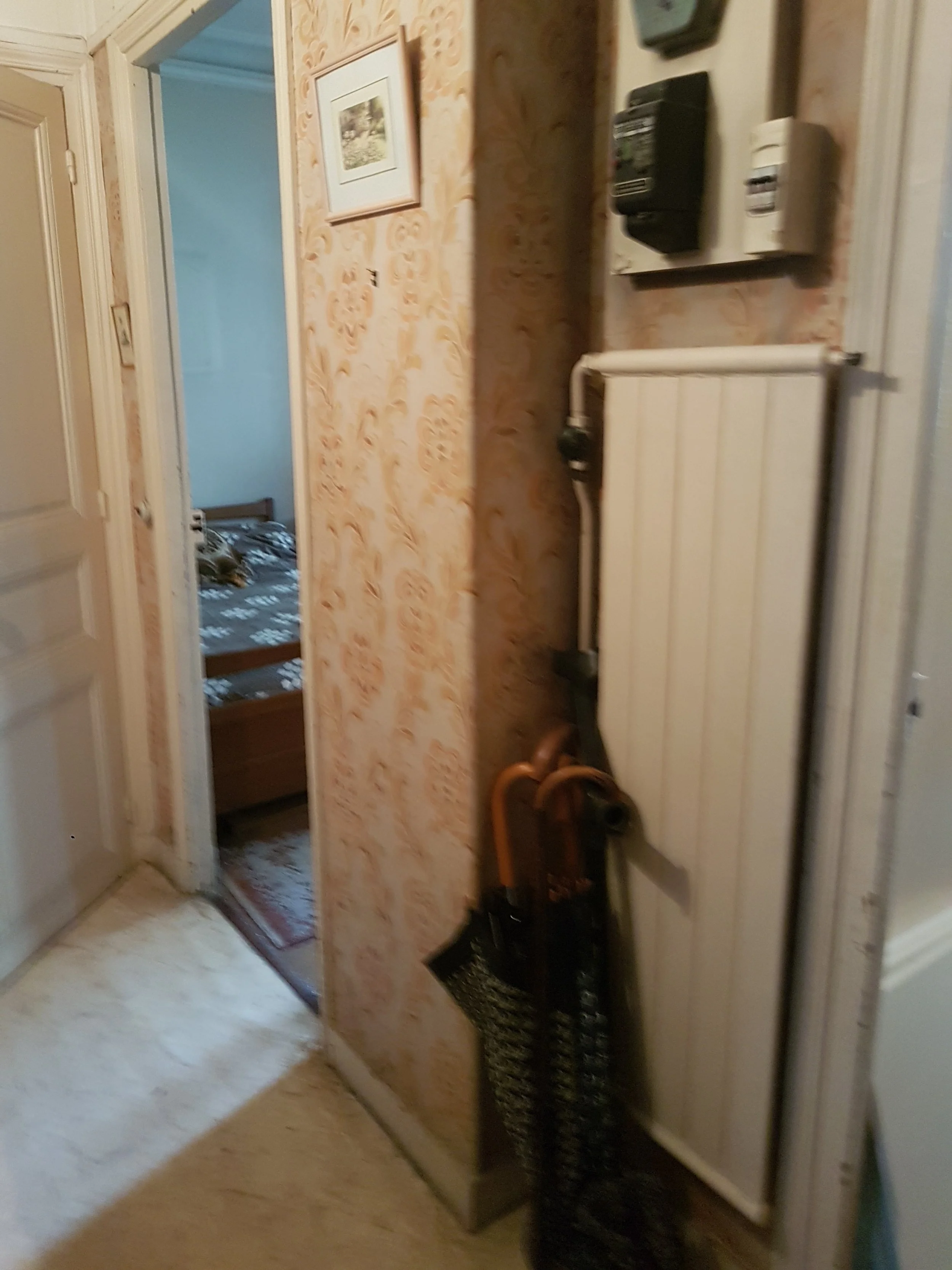20221013_135232.jpg