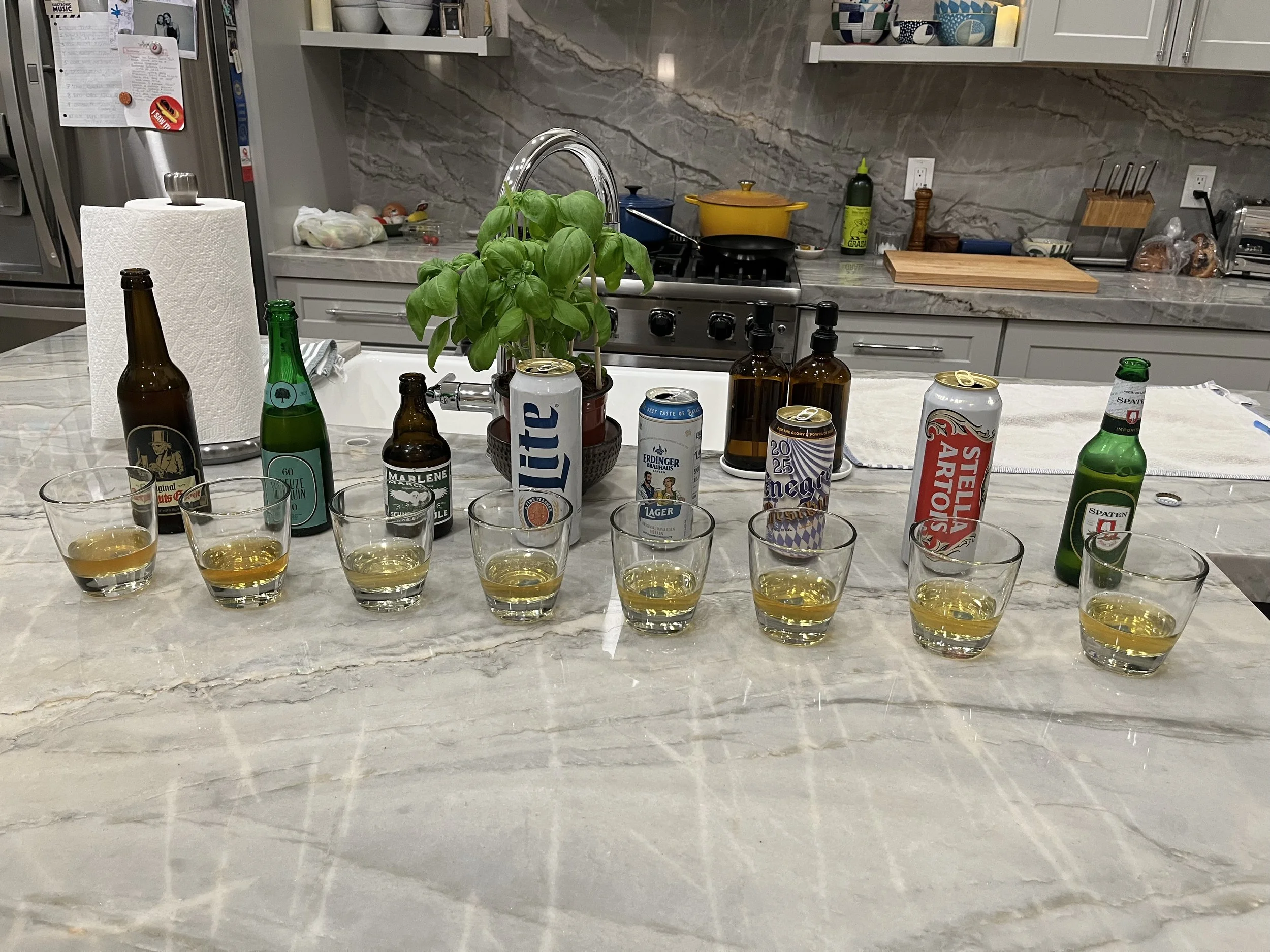 Sours and Light Lagers