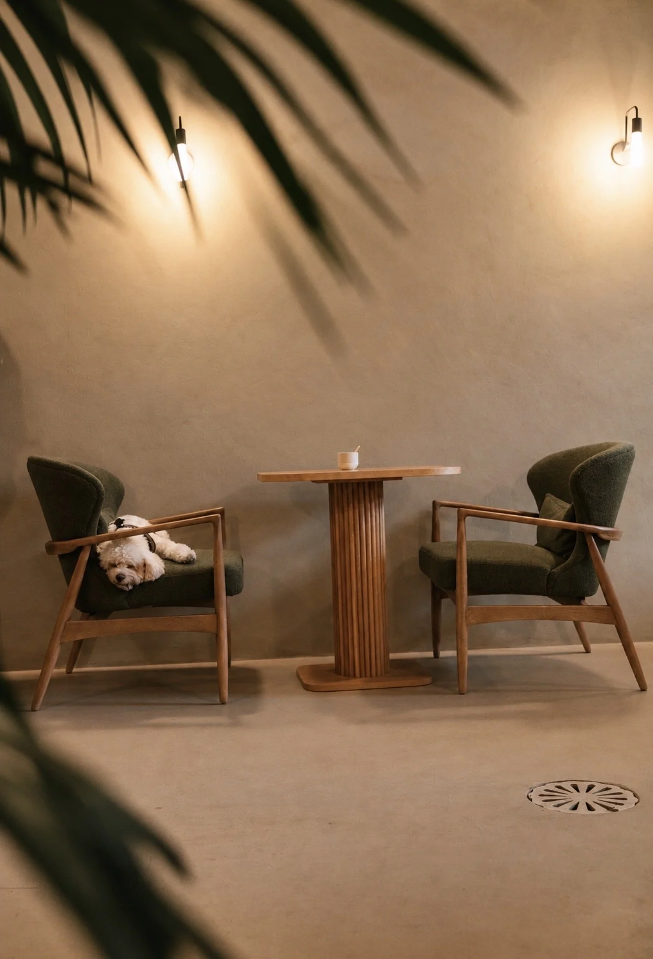 Speciality Coffee Near Me Lake Como