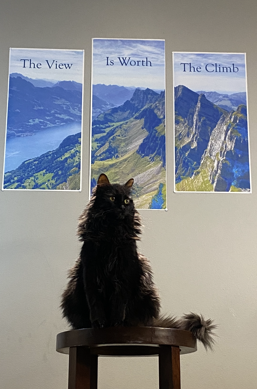 Product Example (The Swiss Alps) (Custom) (Multi).PNG