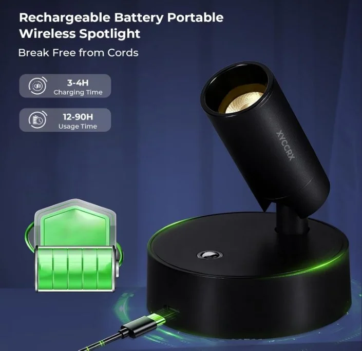 battery (amazon).jpg