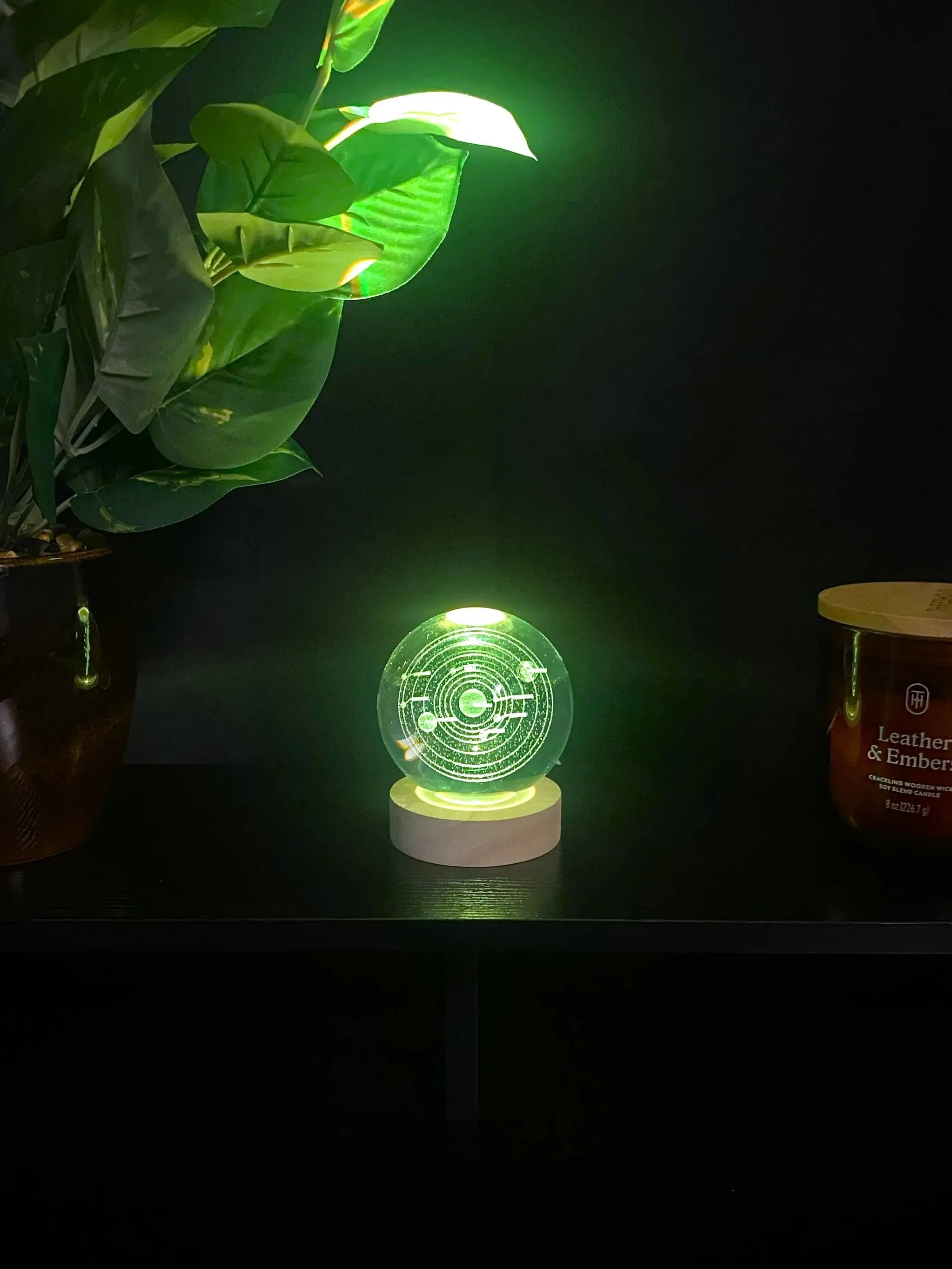 green+w+plant+2+%28cover%29.jpg