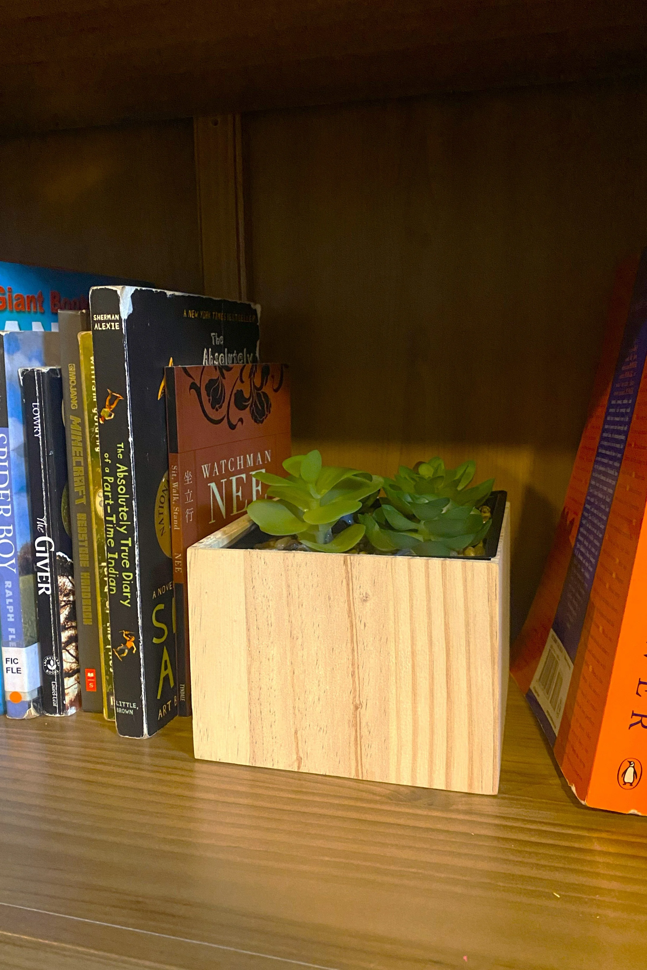 plant in bookshelf.jpg