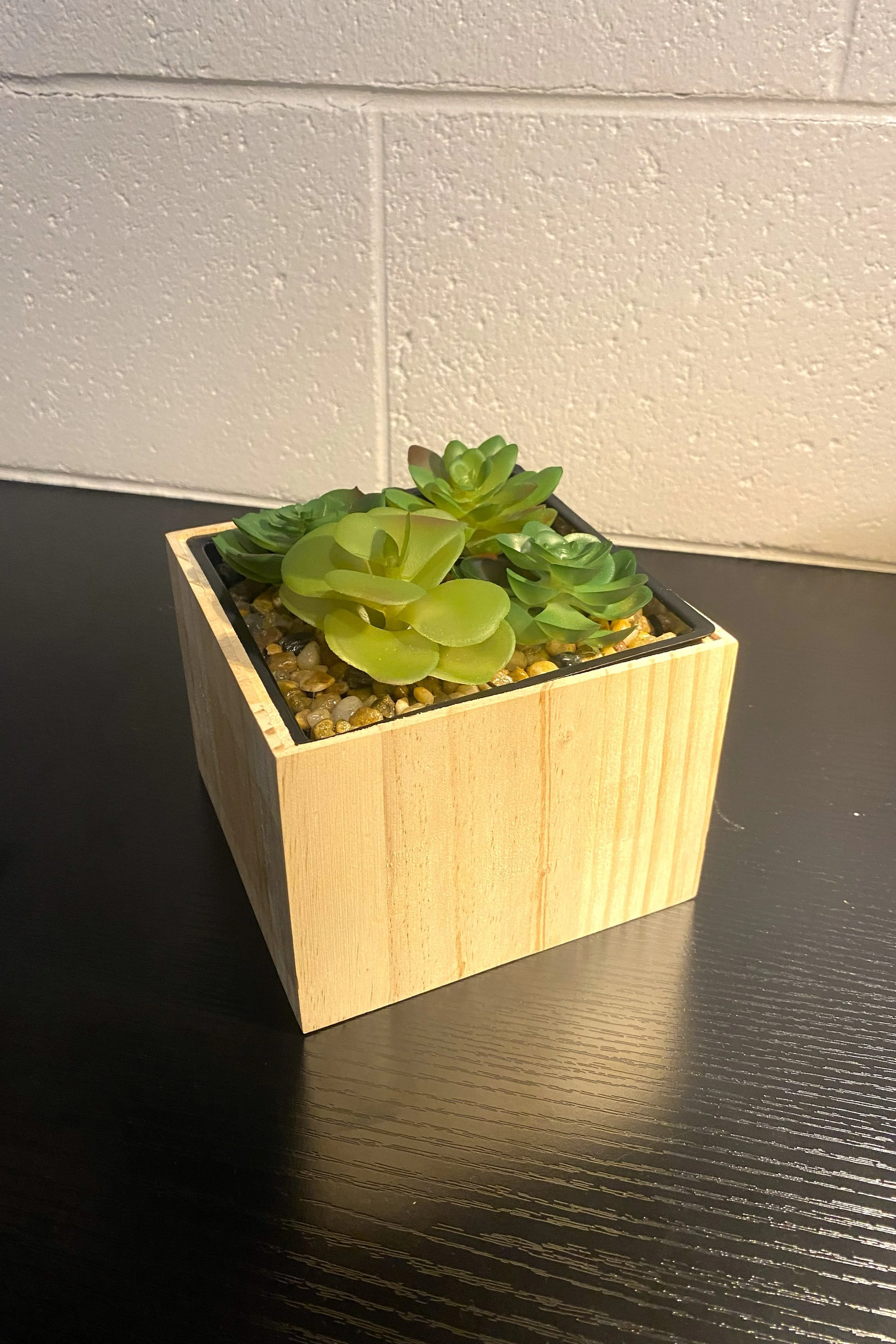 plant safe (COVER).jpg